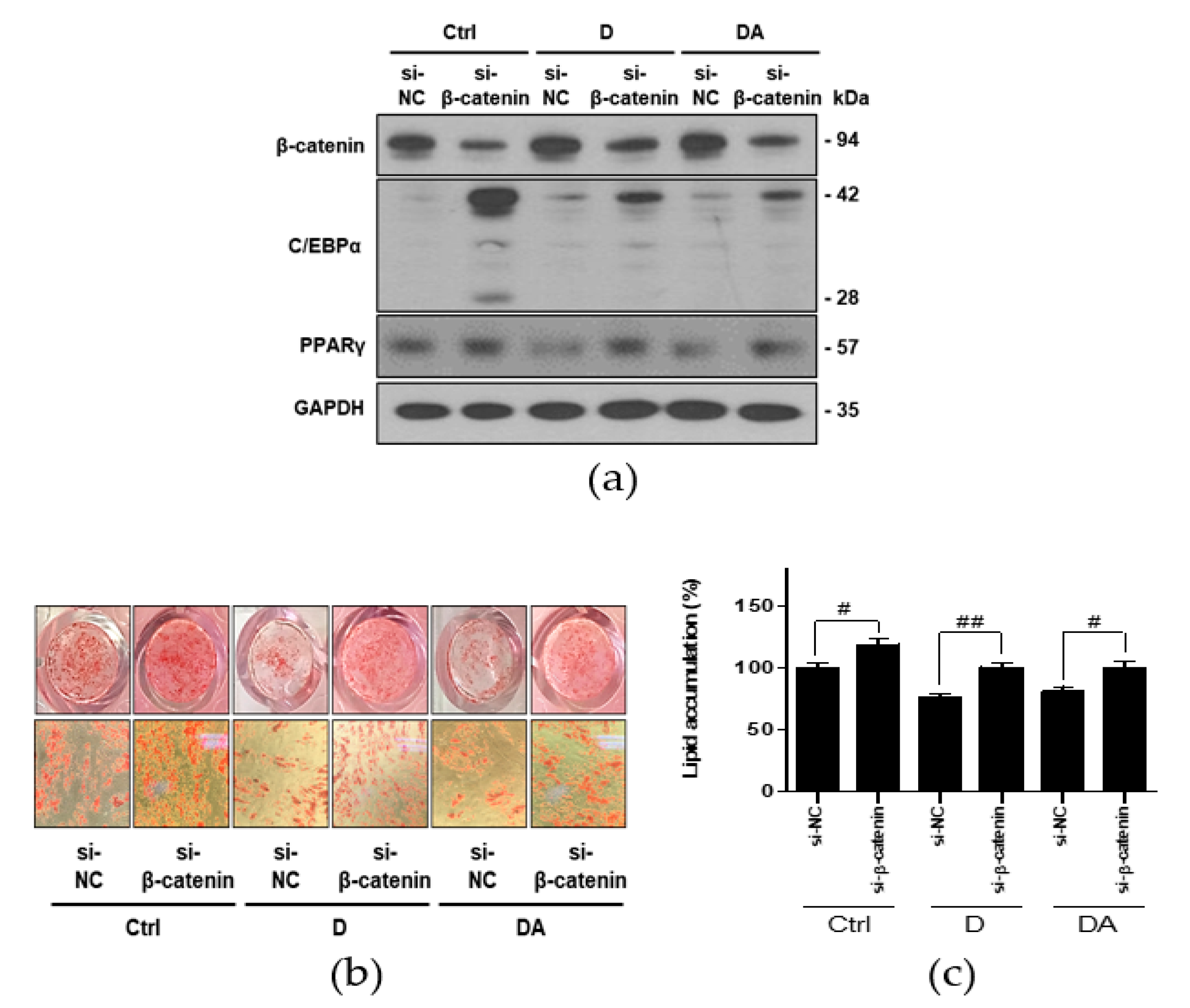 Nutrients 12 00013 g005