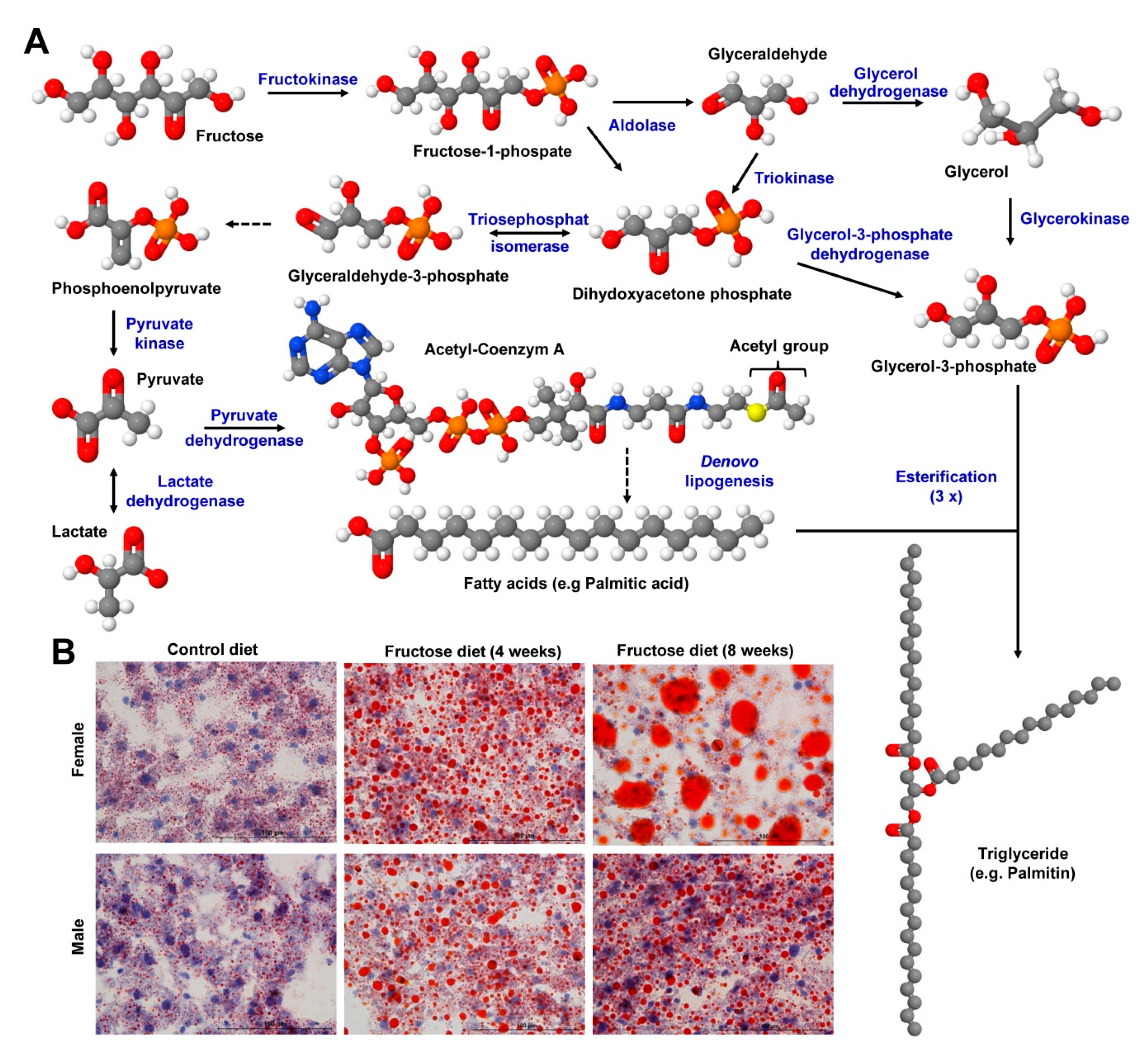 Nutrients 12 00163 g009