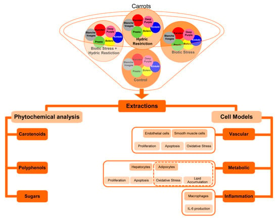 Nutrients, Free Full-Text