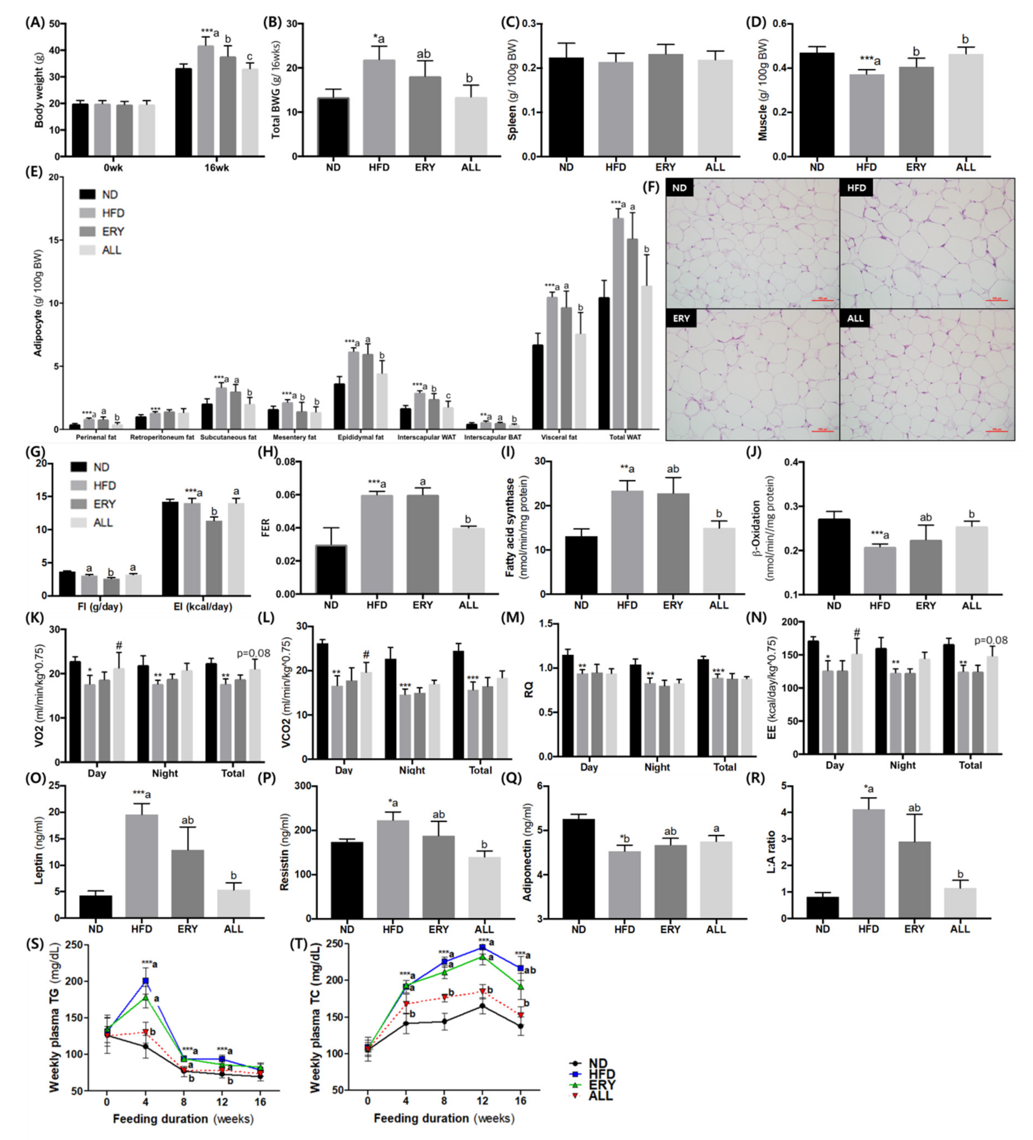Nutrients 12 00352 g001 Nutrients 12 00352 g001