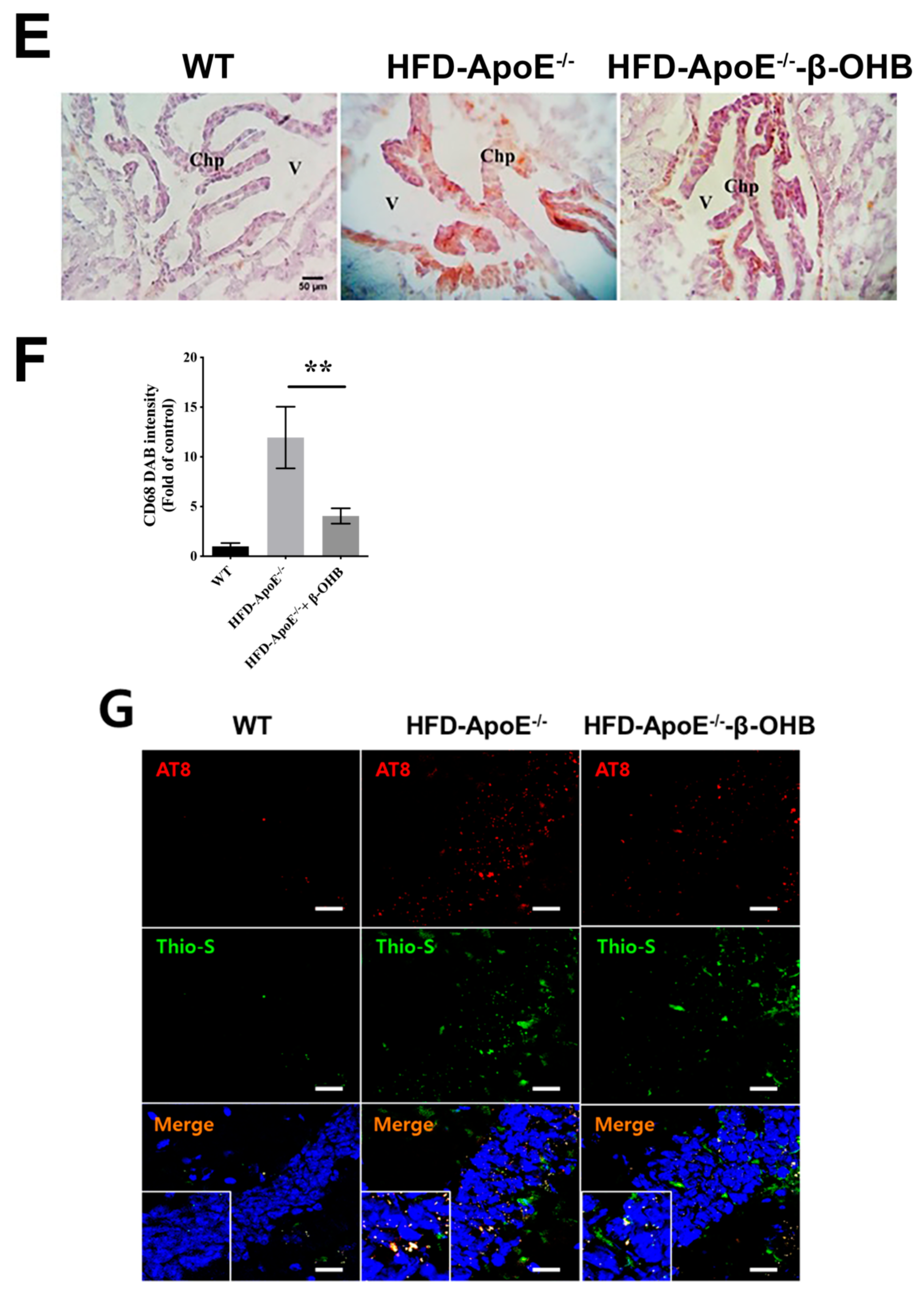 Nutrients 12 00471 g001c Nutrients 12 00471 g001c
