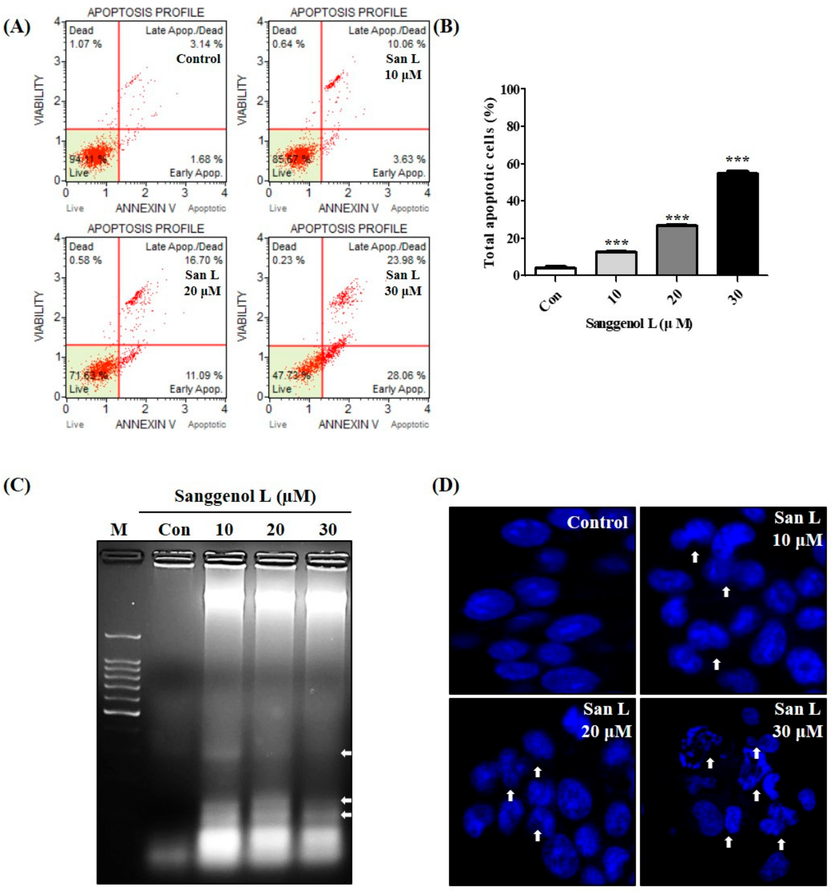 Nutrients 12 00488 g002 Nutrients 12 00488 g002