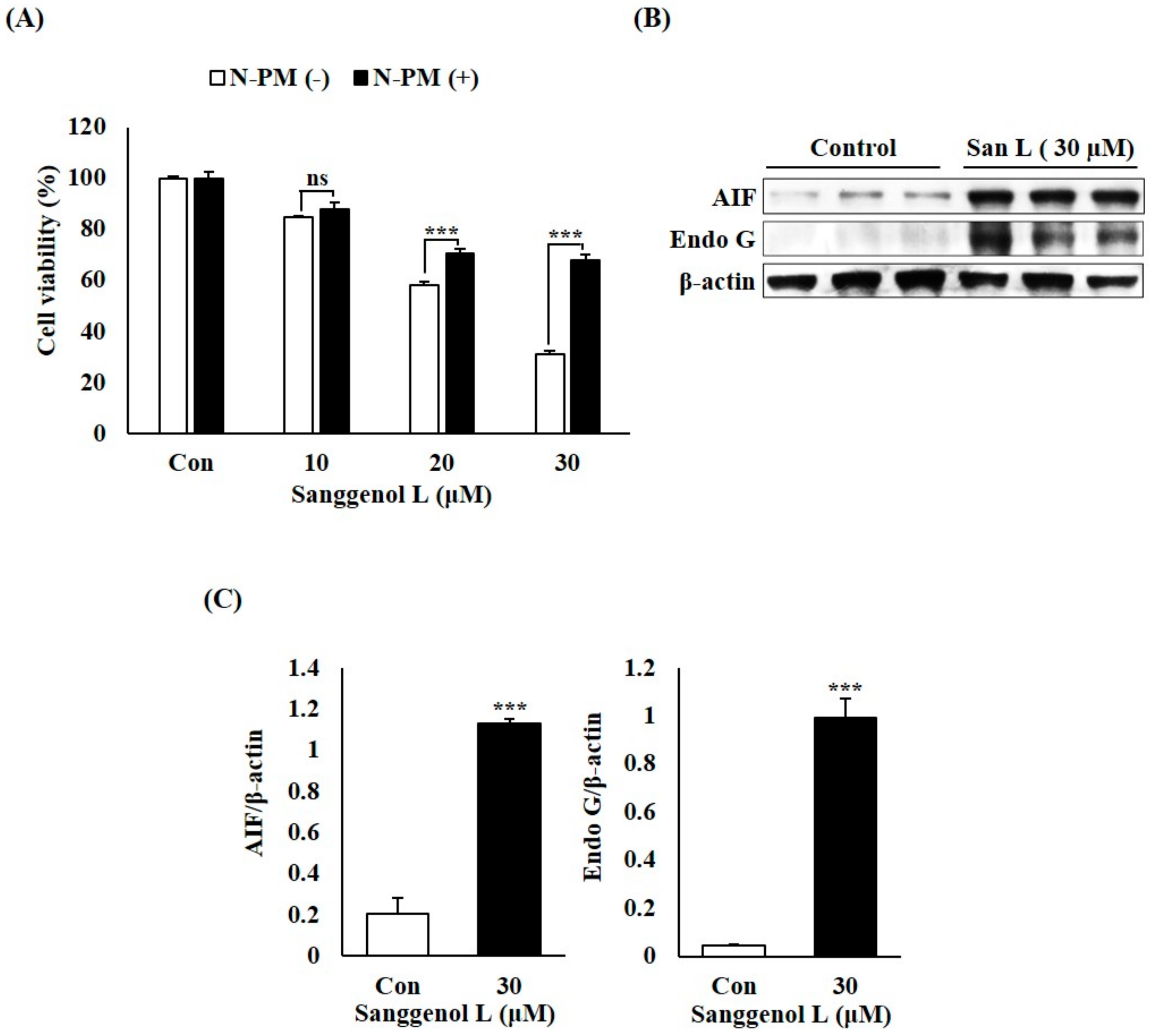 Nutrients 12 00488 g004 Nutrients 12 00488 g004