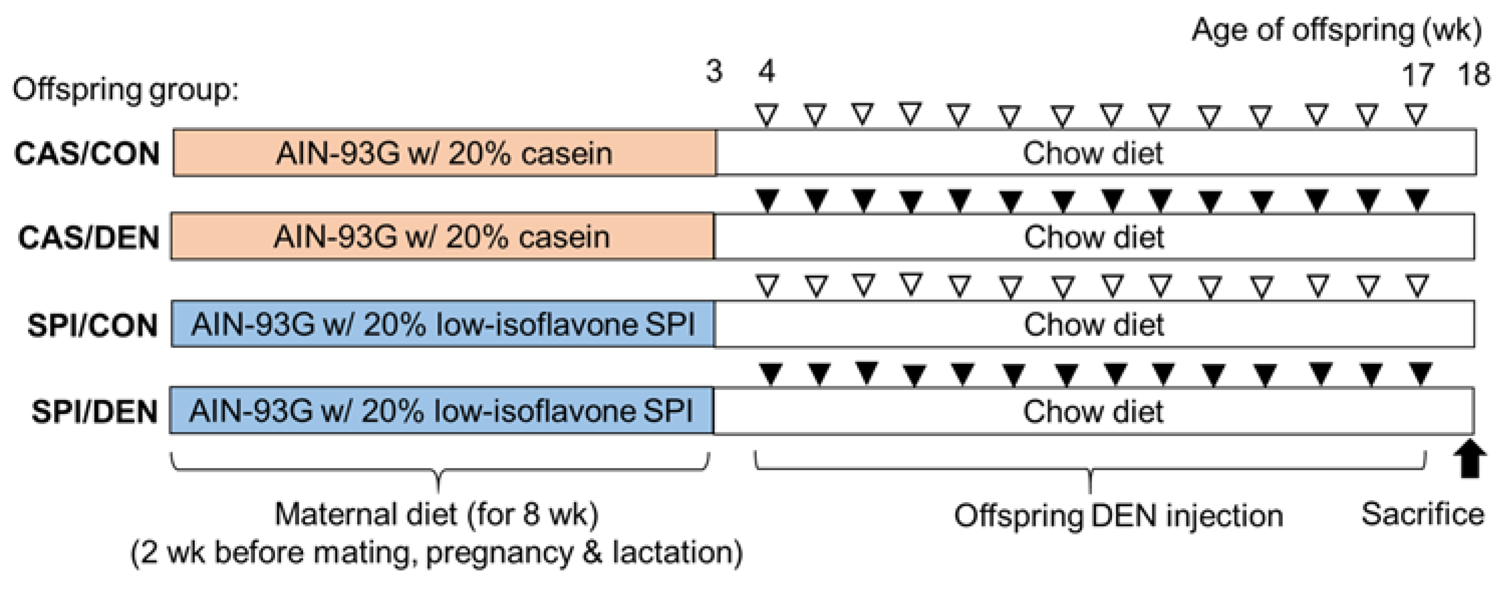 Nutrients Free Full Text Maternal Consumption Of A Low Isoflavone Soy Protein Isolate Diet Accelerates Chemically Induced Hepatic Carcinogenesis In Male Rat Offspring Html