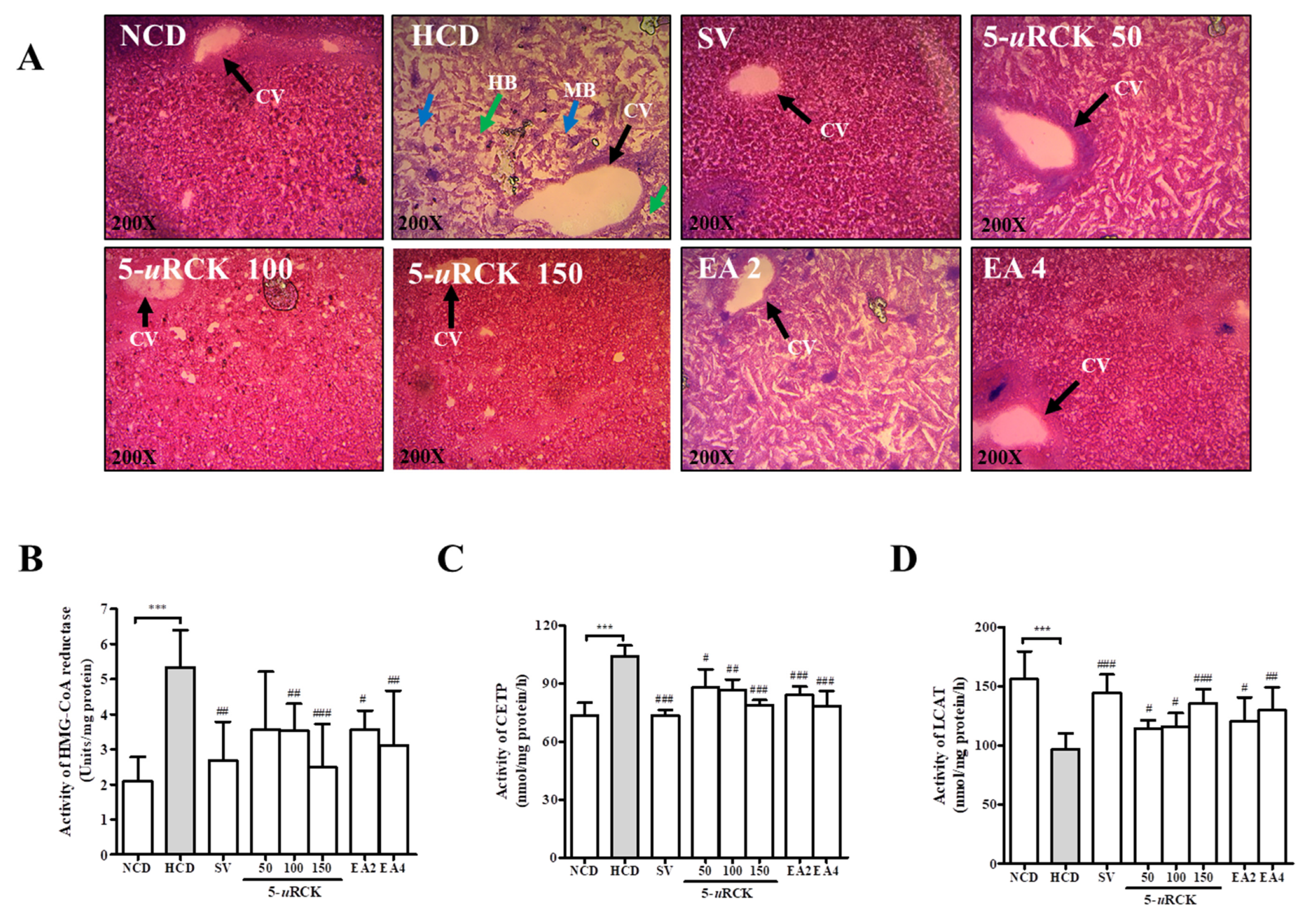 Nutrients 12 00610 g005