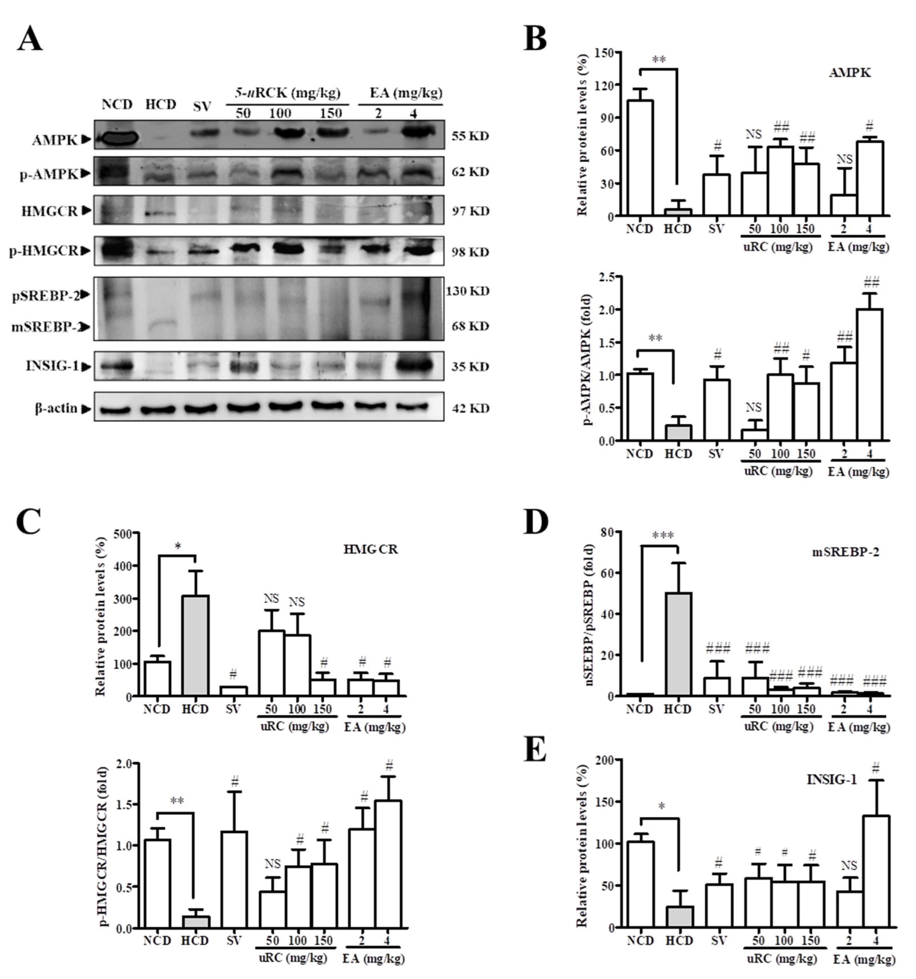Nutrients 12 00610 g008