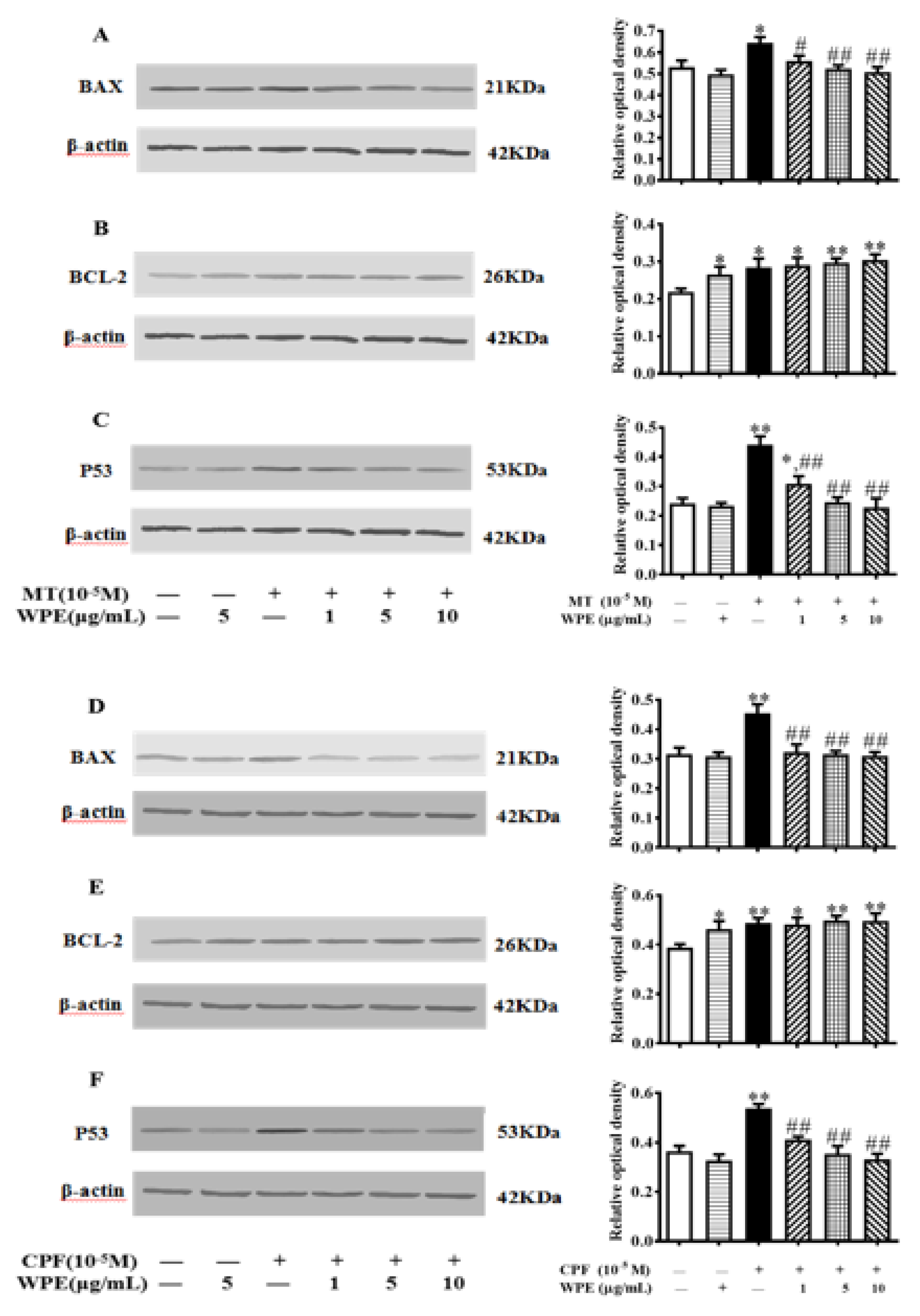 Nutrients 12 00616 g007