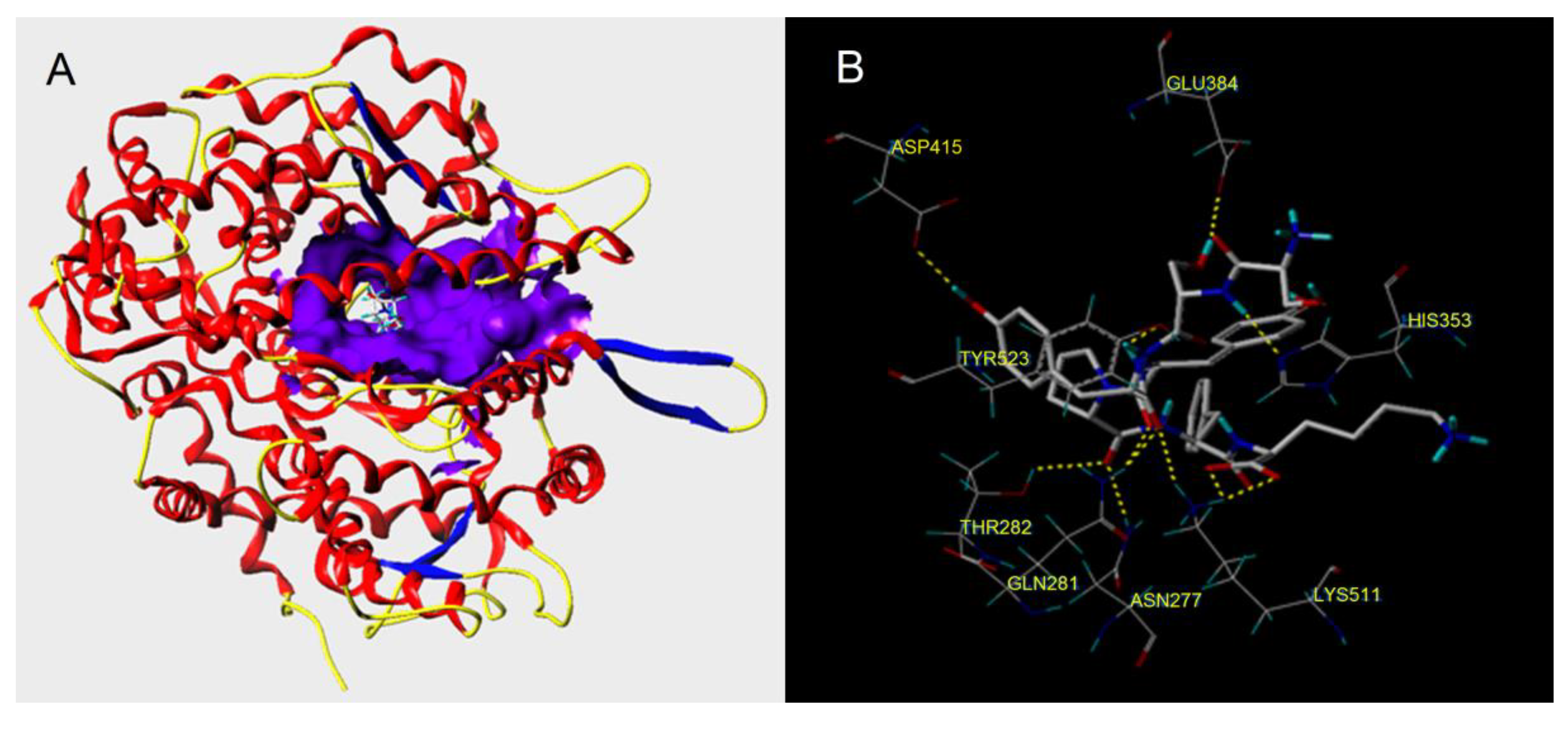 Nutrients Free Full Text Efficacy Of A Novel Ace Inhibitory Peptide From Sargassum Maclurei In Hypertension And Reduction Of Intracellular Endothelin 1 Html