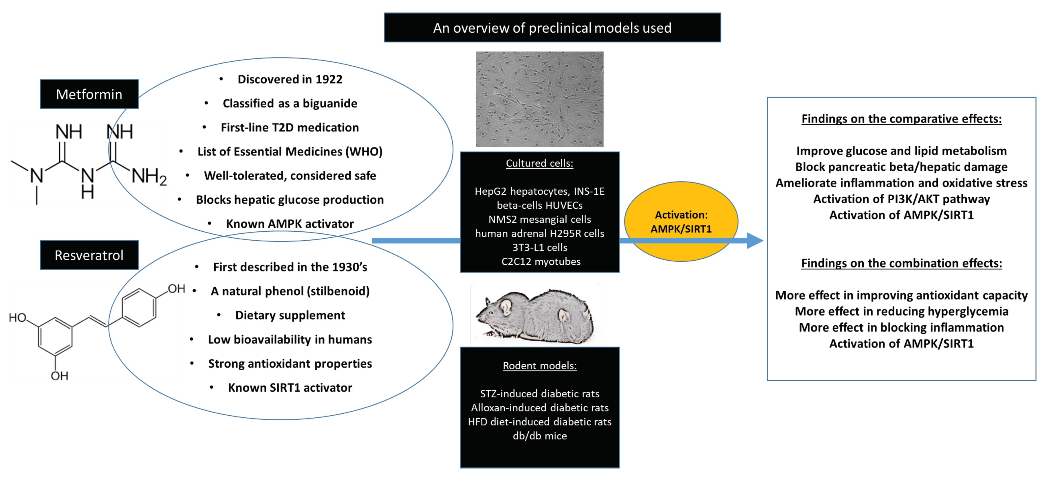 Nutrients 12 00739 g002