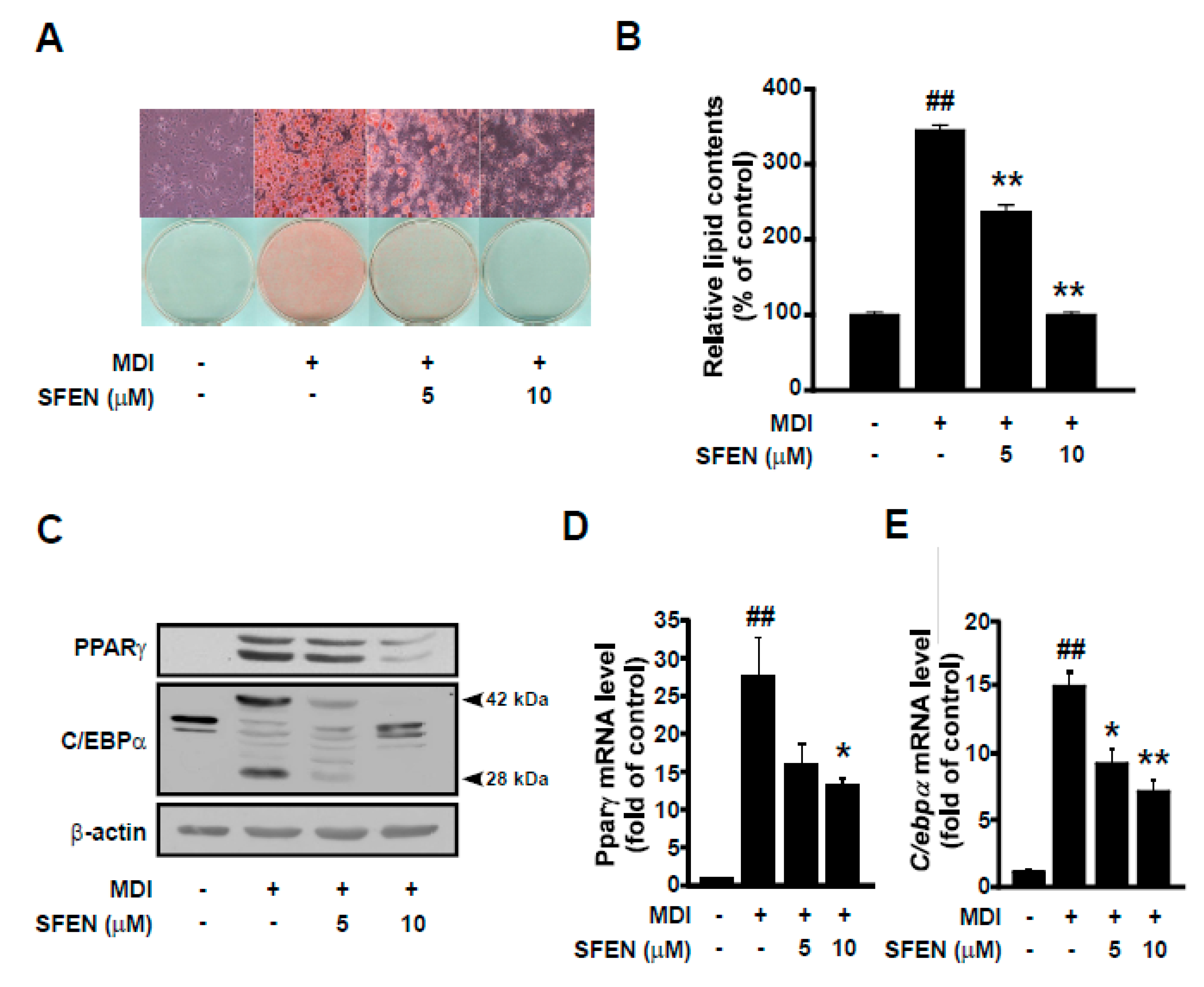 Nutrients 12 00758 g002