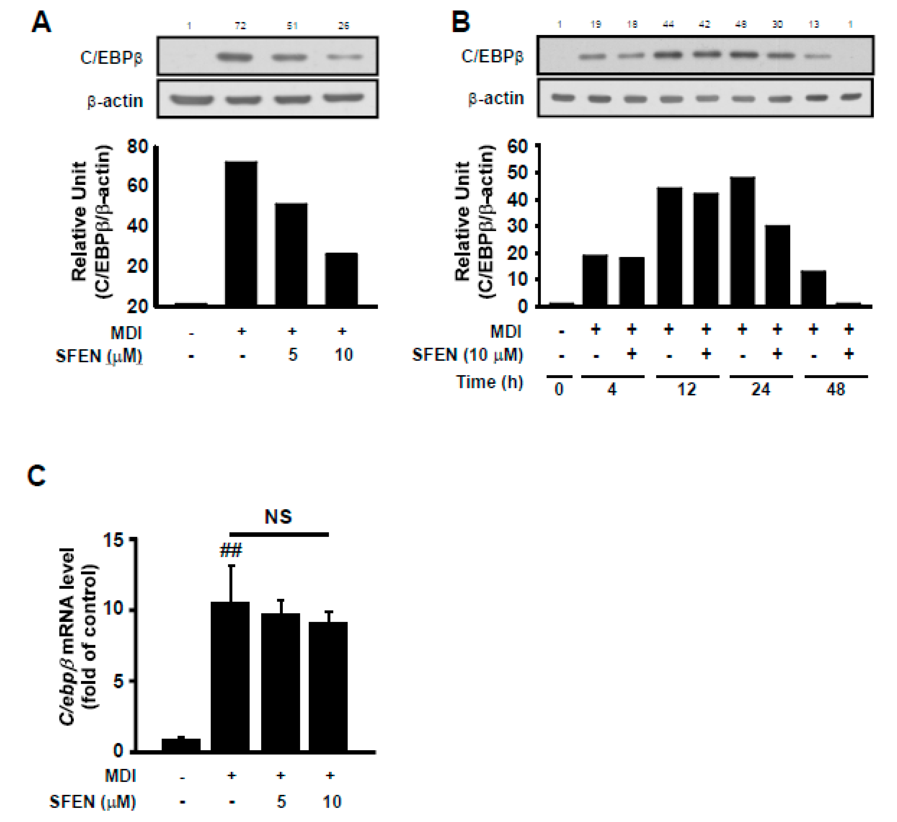 Nutrients 12 00758 g004