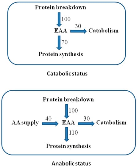 Nutrients Free Full Text Macronutrients In Parenteral Nutrition Amino Acids Html