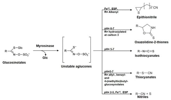 Nutrients March Browse Articles