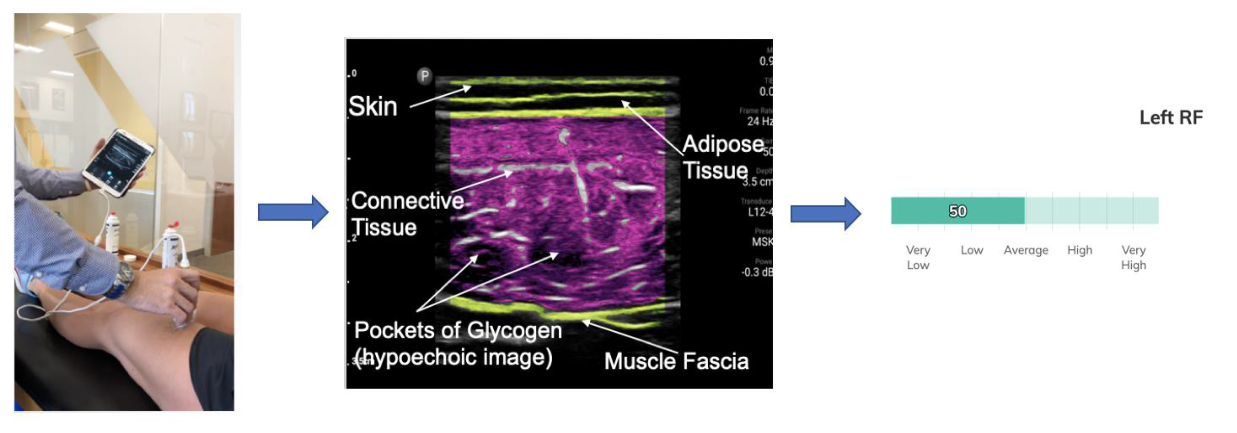 Nutrients 12 00971 g001 Nutrients 12 00971 g001