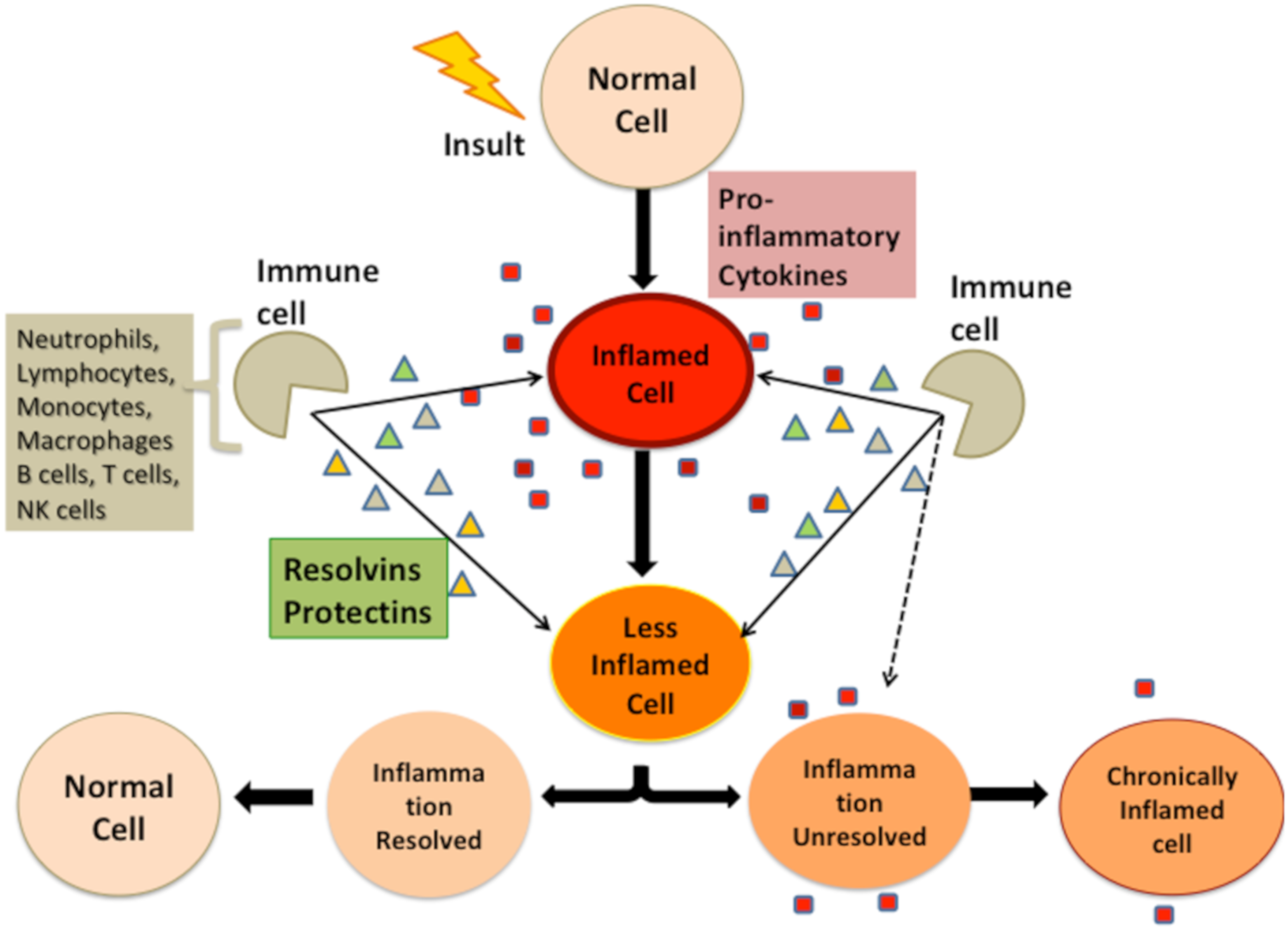 Inflammation reduction through stress management