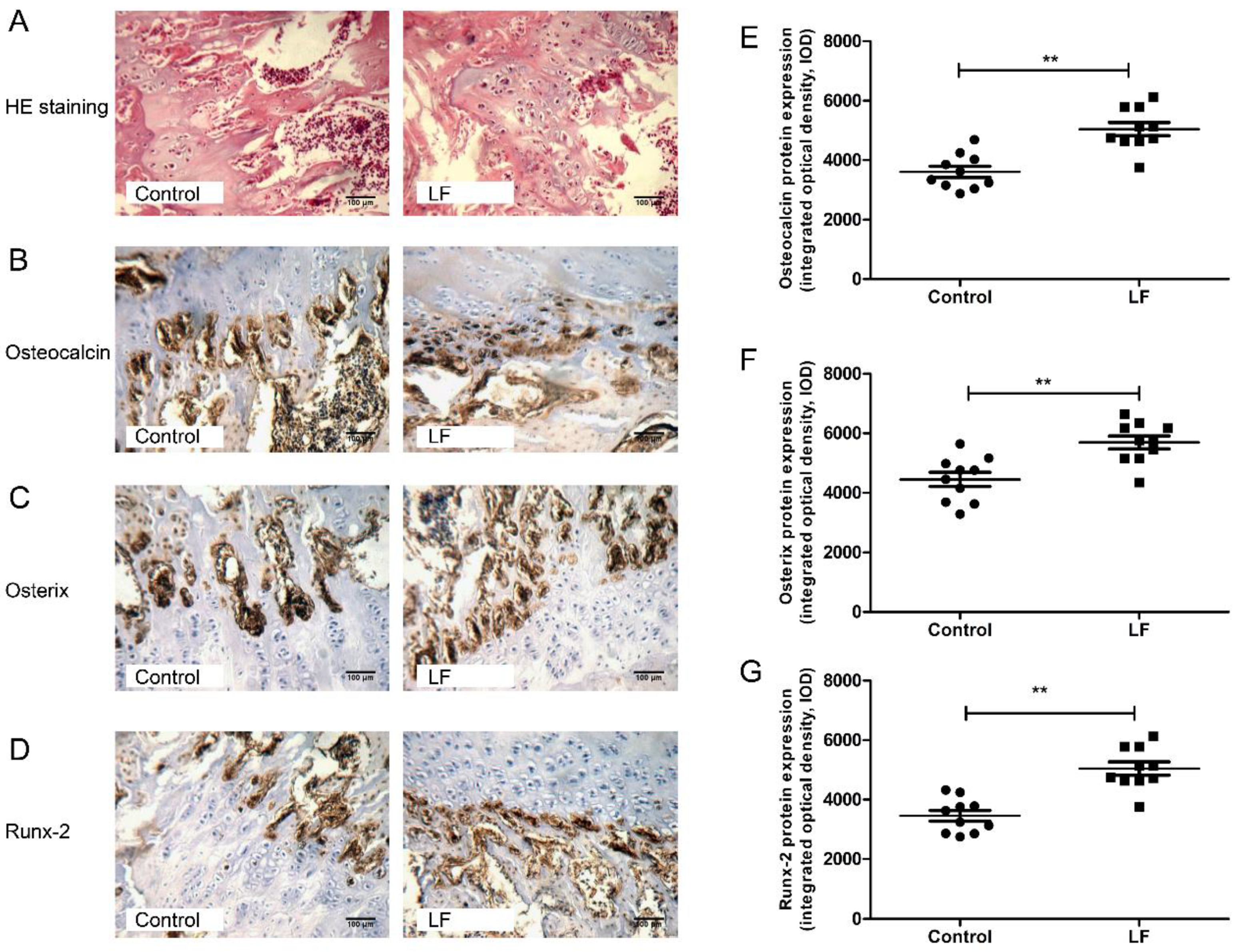 Nutrients 12 01116 g002