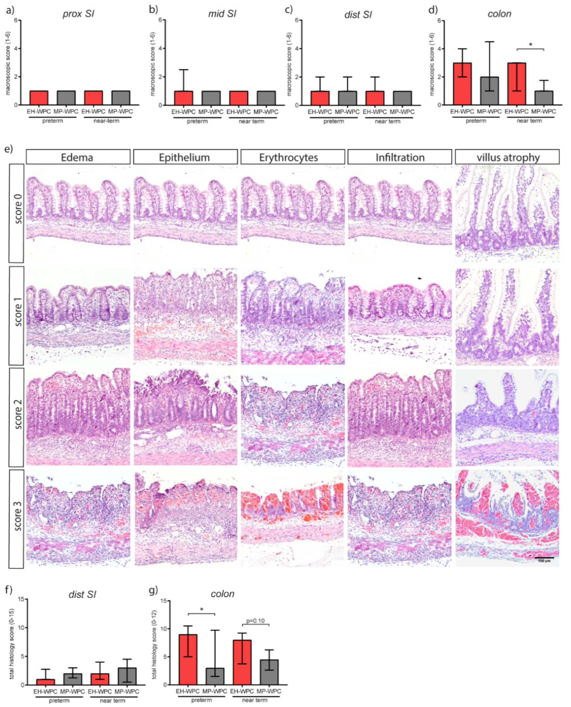 Nutrients 12 01125 g001