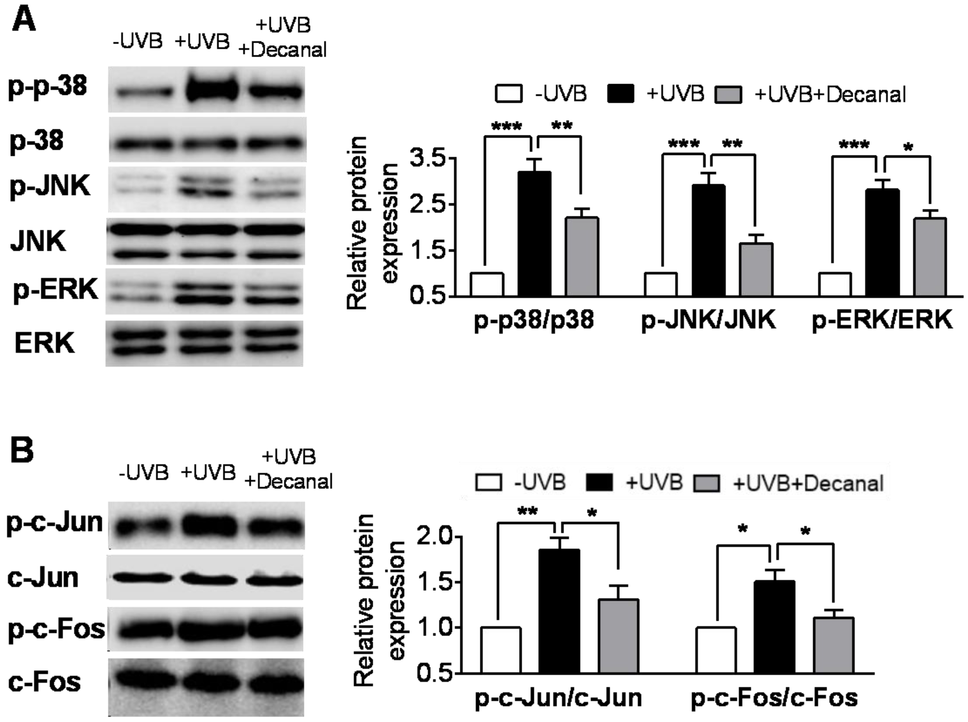 Nutrients 12 01214 g004