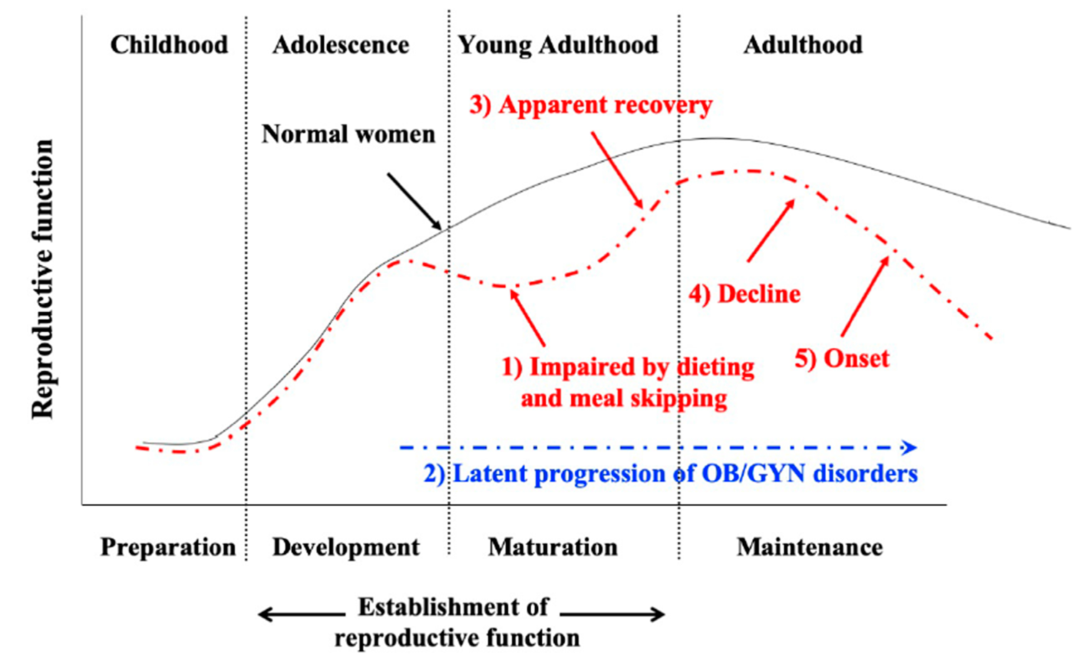 Nutrients | Free Full-Text | Adolescent Dietary Habit-induced Obstetric and  Gynecologic Disease (ADHOGD) as a New Hypothesis—Possible Involvement of  Clock System