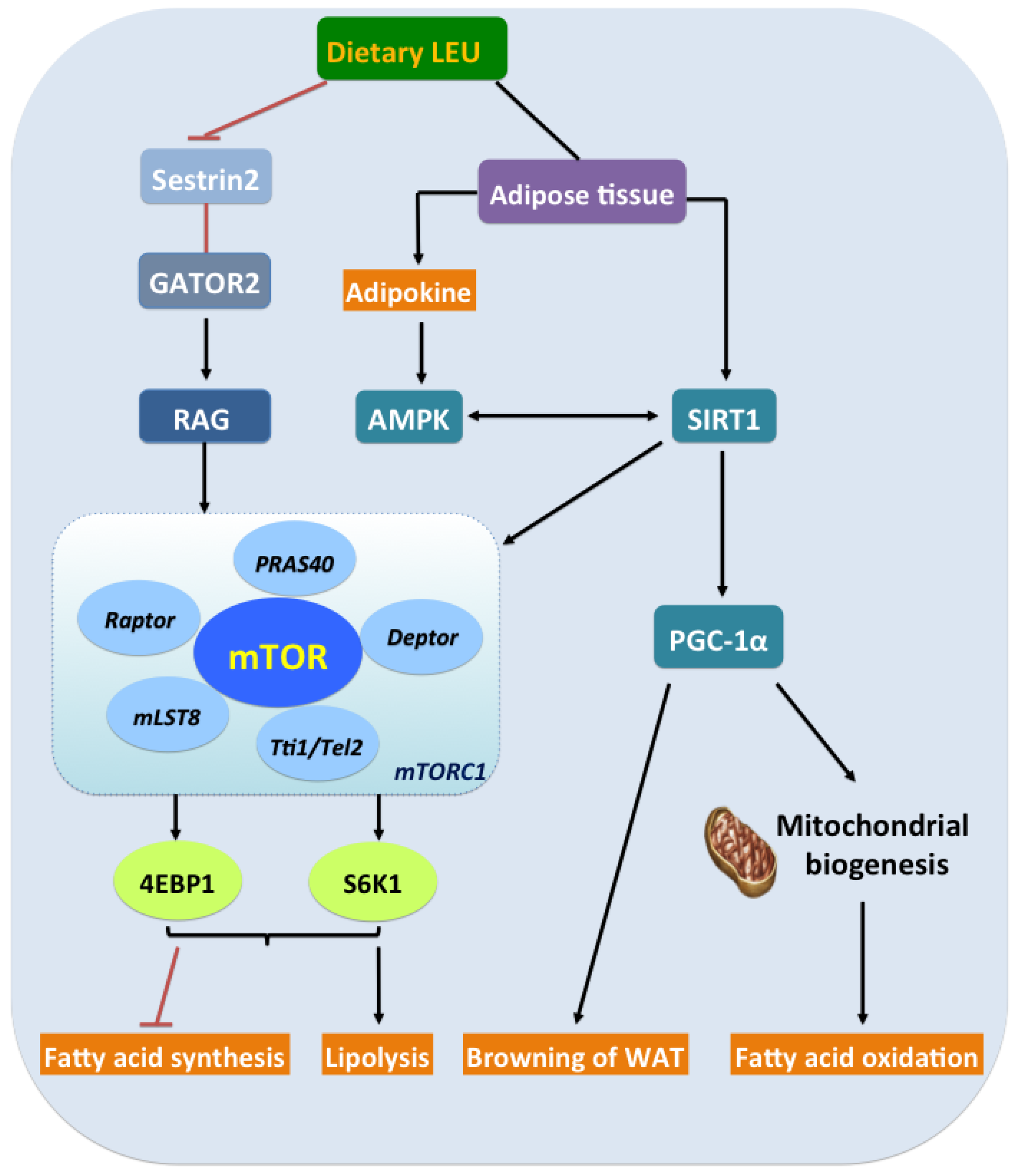 Nutrients 12 01299 g002