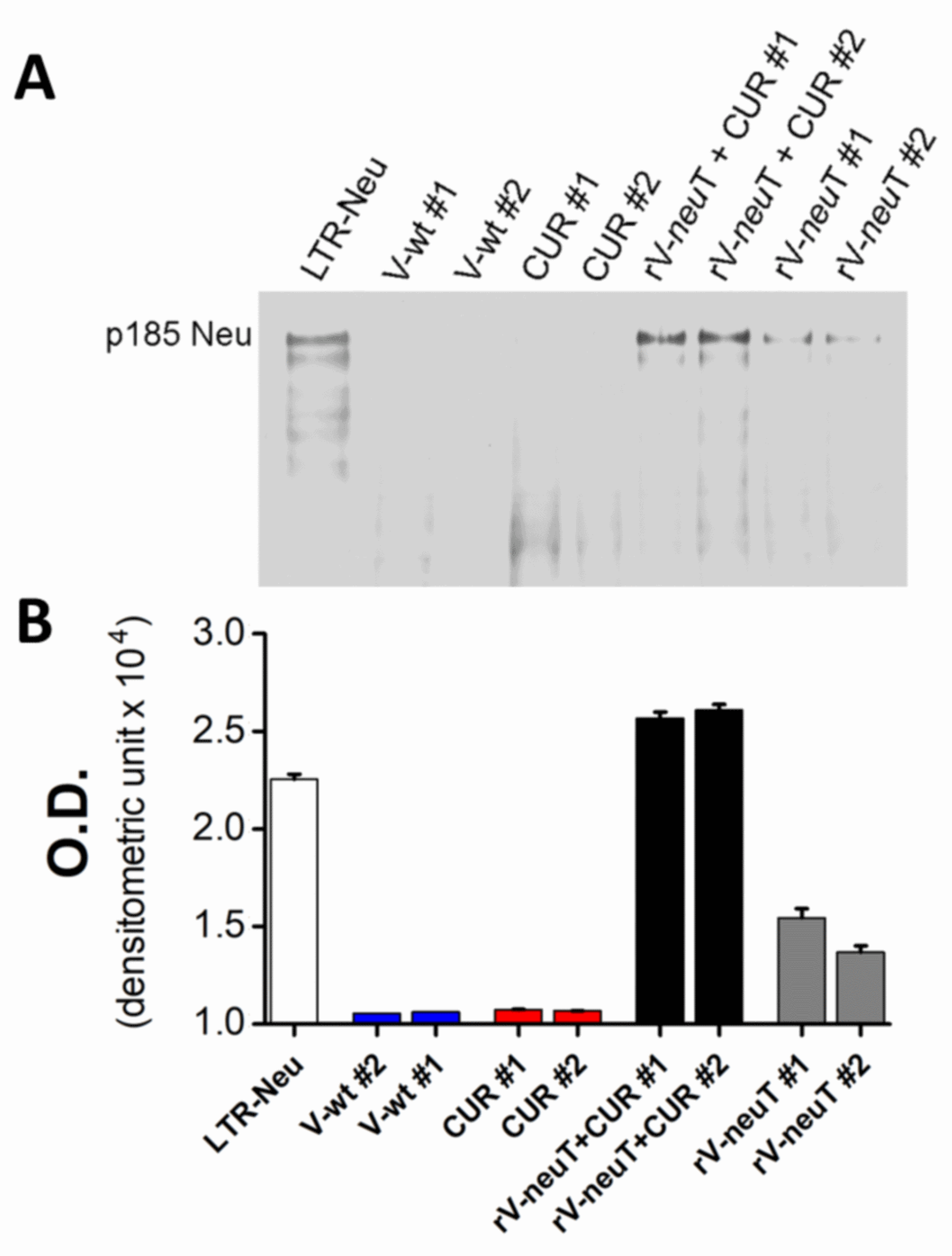 Nutrients 12 01417 g002 Nutrients 12 01417 g002