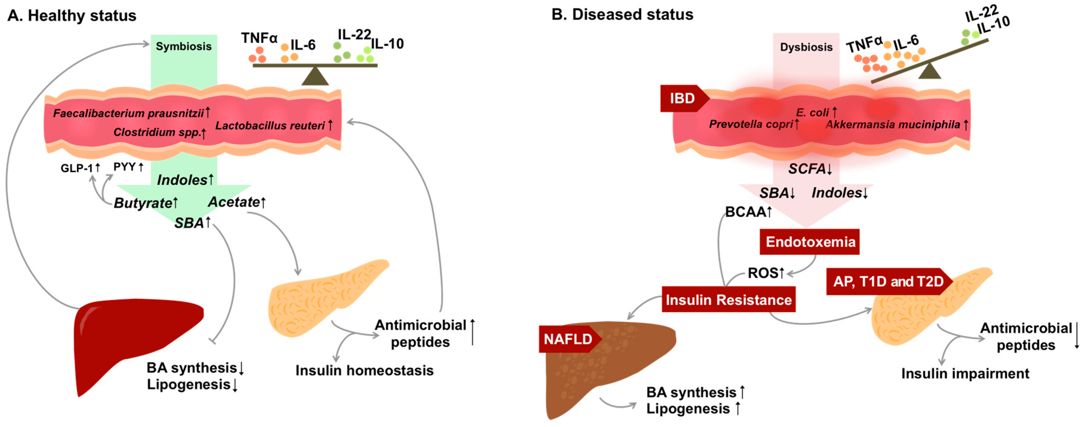 Nutrients | Free Full-Text | Connecting the Dots Between Inflammatory Bowel  Disease and Metabolic Syndrome: A Focus on Gut-Derived Metabolites
