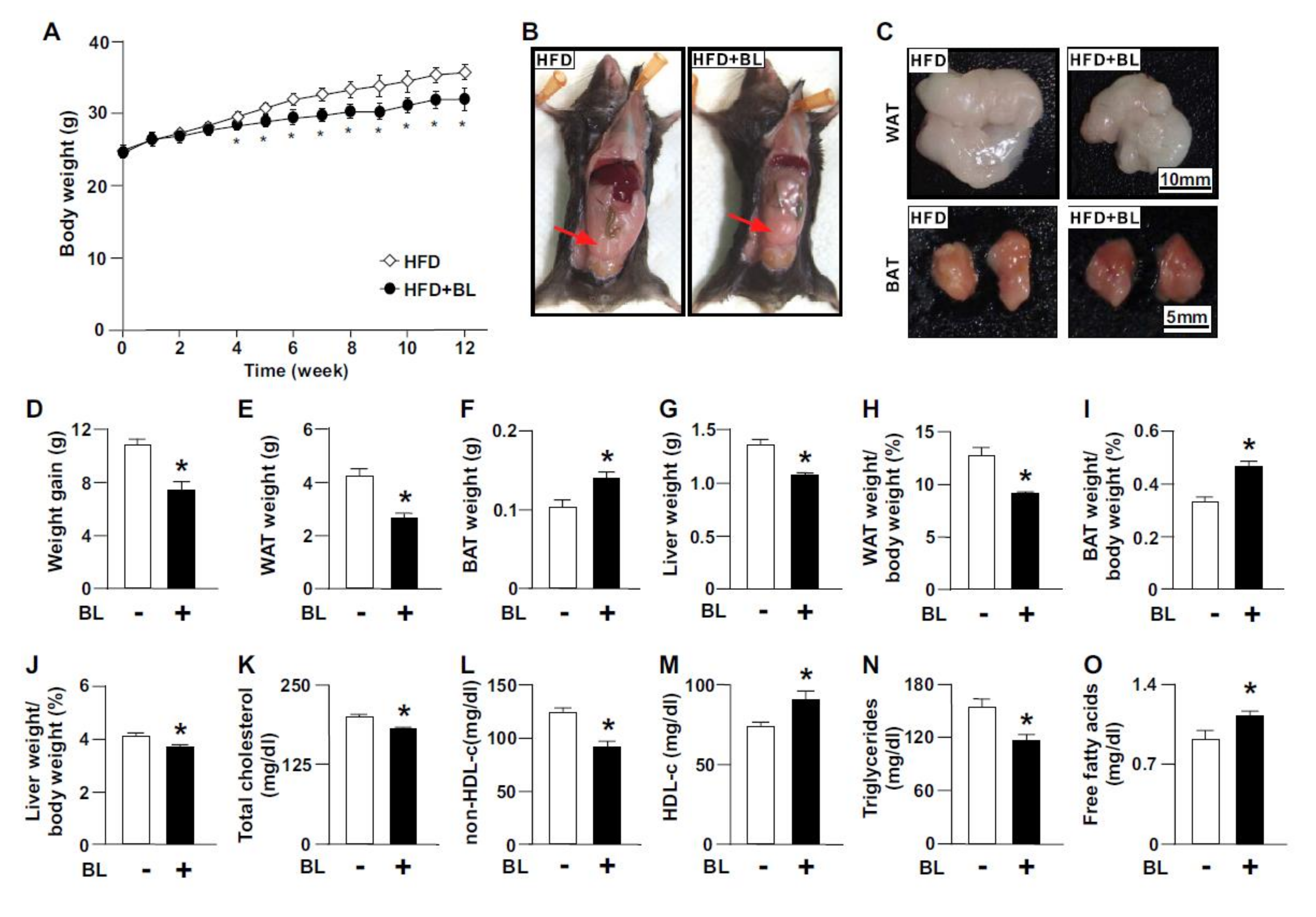 Nutrients 12 01458 g001 Nutrients 12 01458 g001