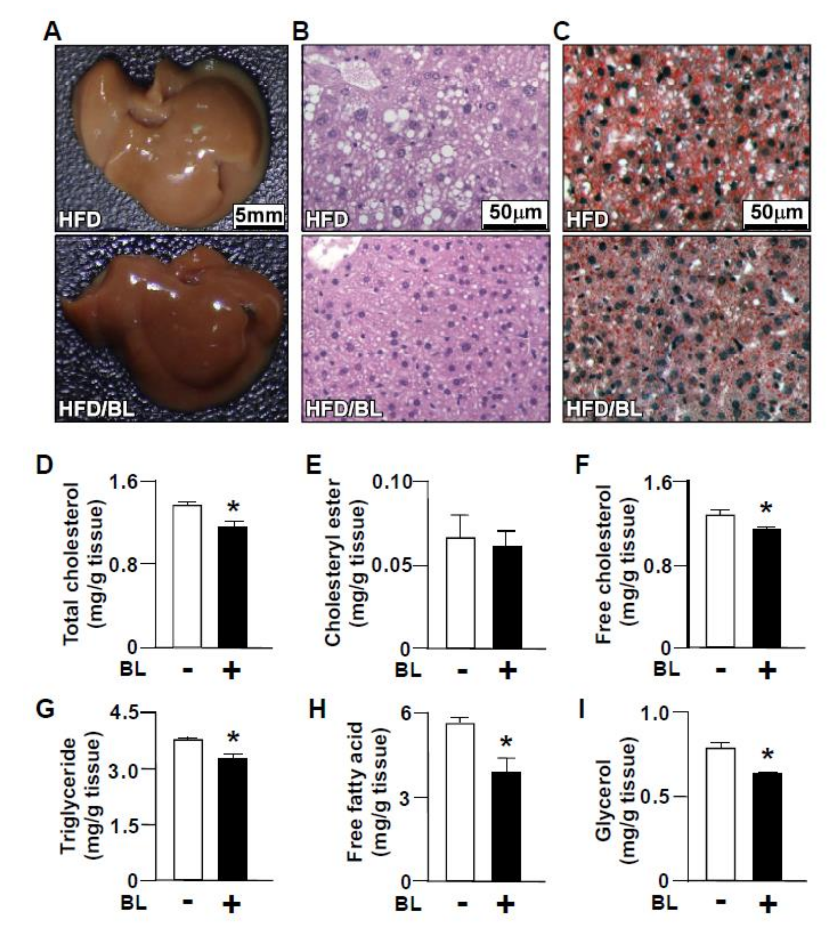 Nutrients 12 01458 g002 Nutrients 12 01458 g002