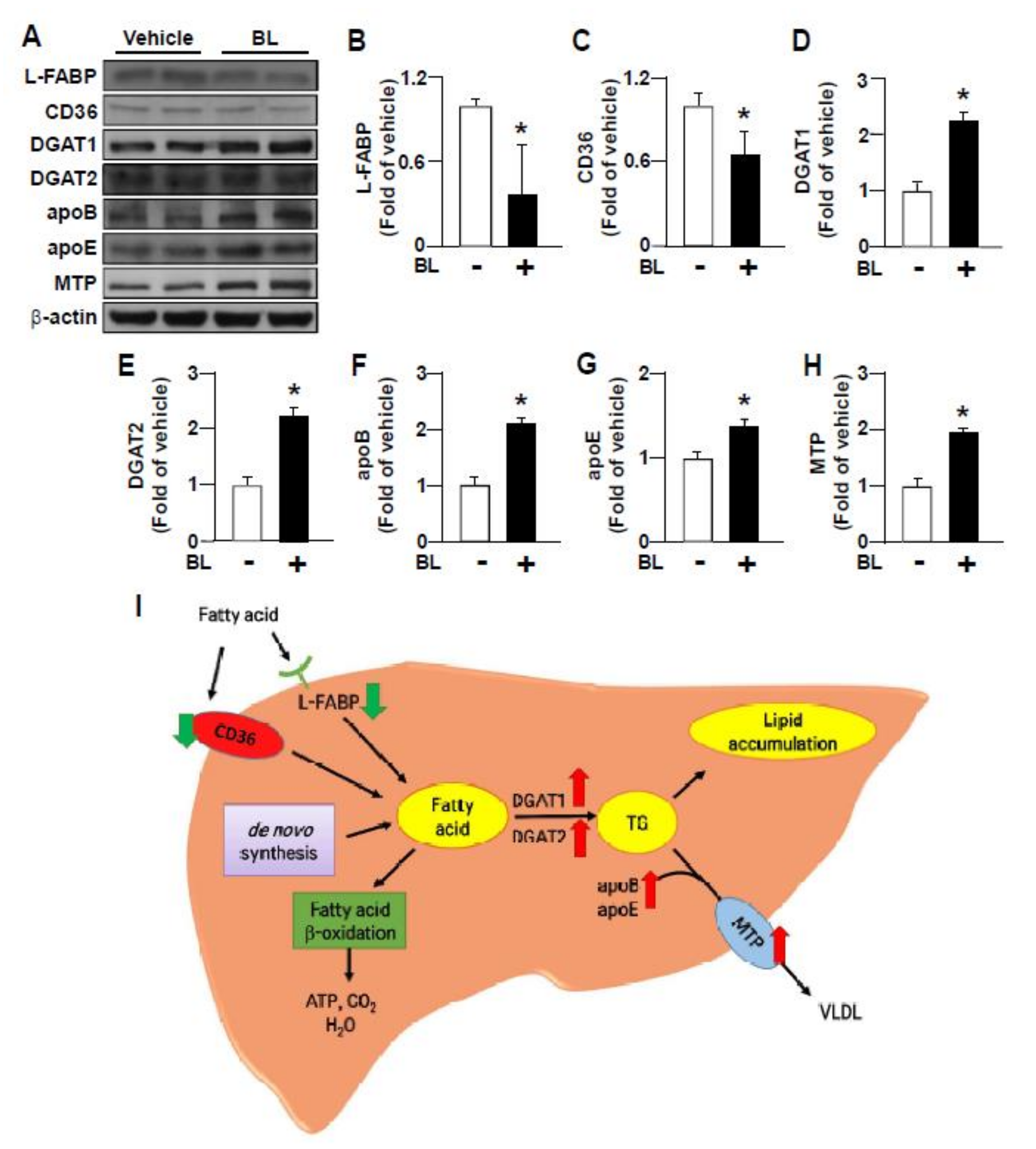 Nutrients 12 01458 g005 Nutrients 12 01458 g005