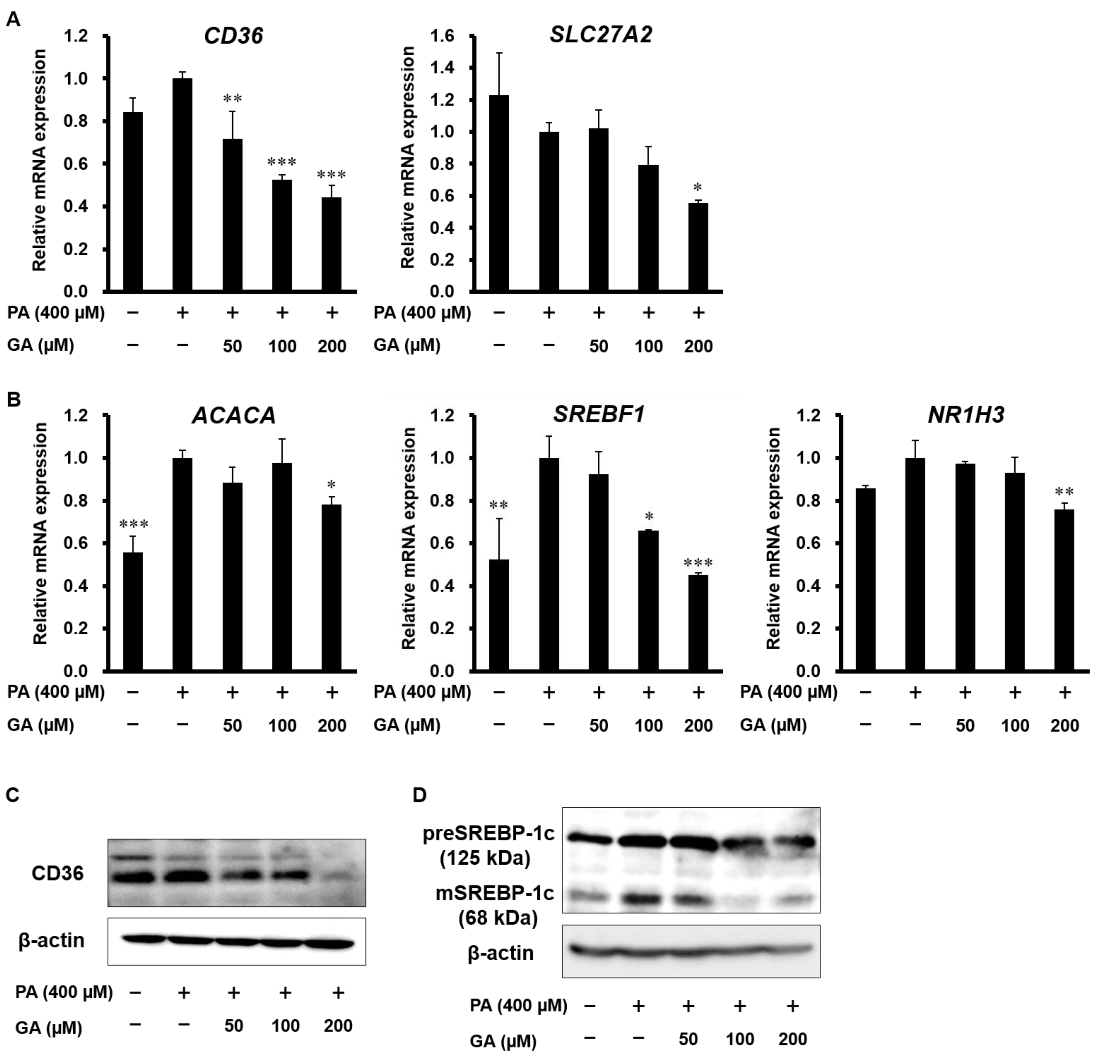 Nutrients 12 01479 g002 Nutrients 12 01479 g002