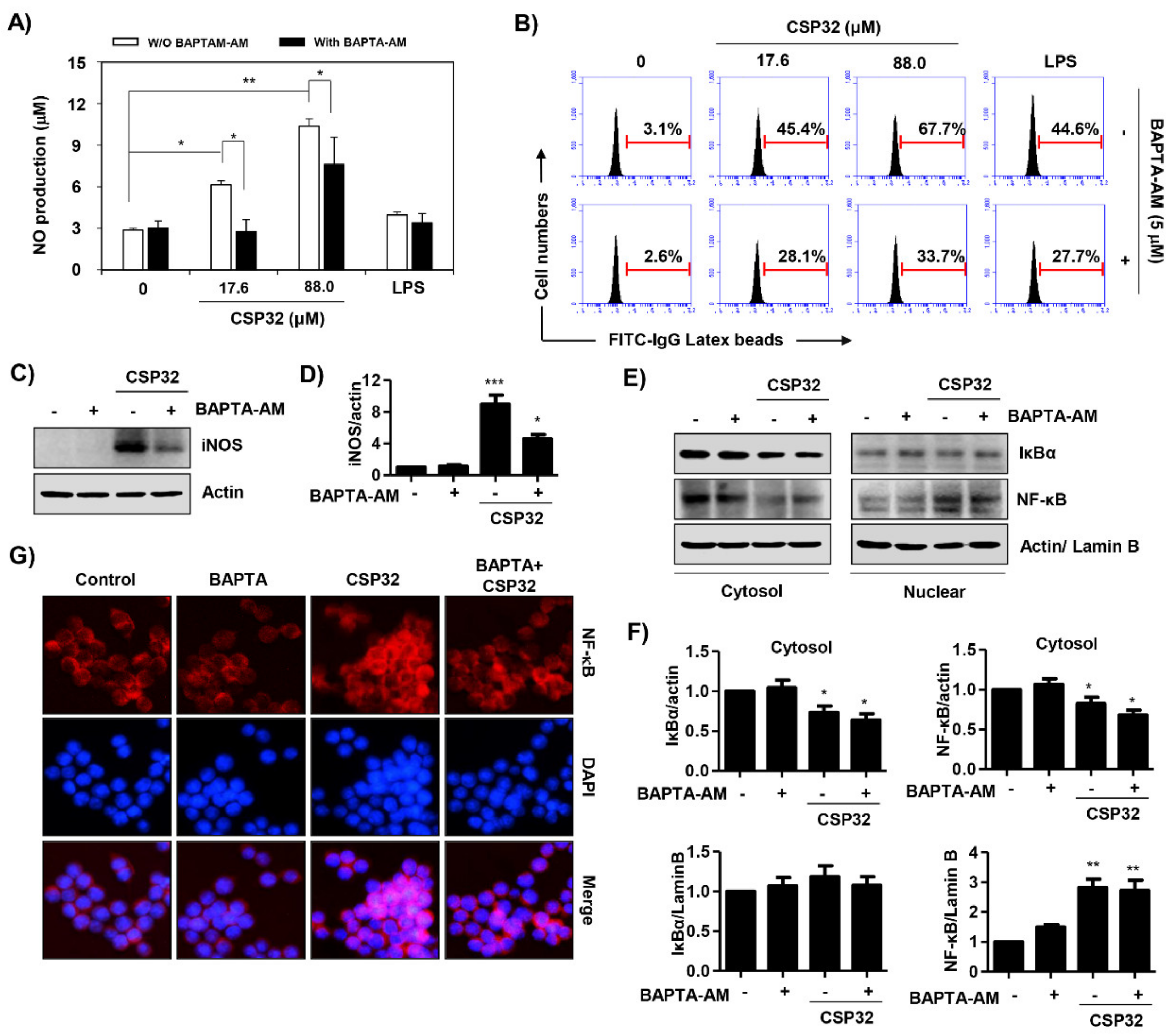 Nutrients 12 01603 g006 Nutrients 12 01603 g006