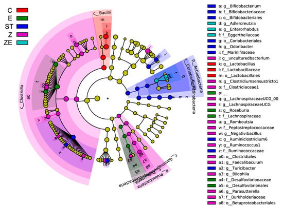 Nutrients Free Full Text Synergistic Effect Of Eugenol And Probiotic Lactobacillus Plantarum Zs2058 Against Salmonella Infection In C57bl 6 Mice Html