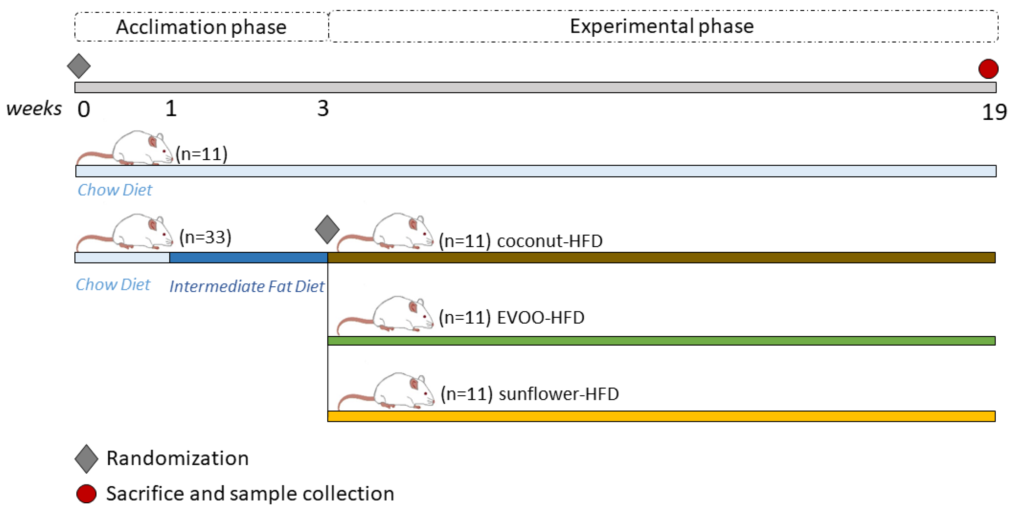 Nutrients 12 01705 g001