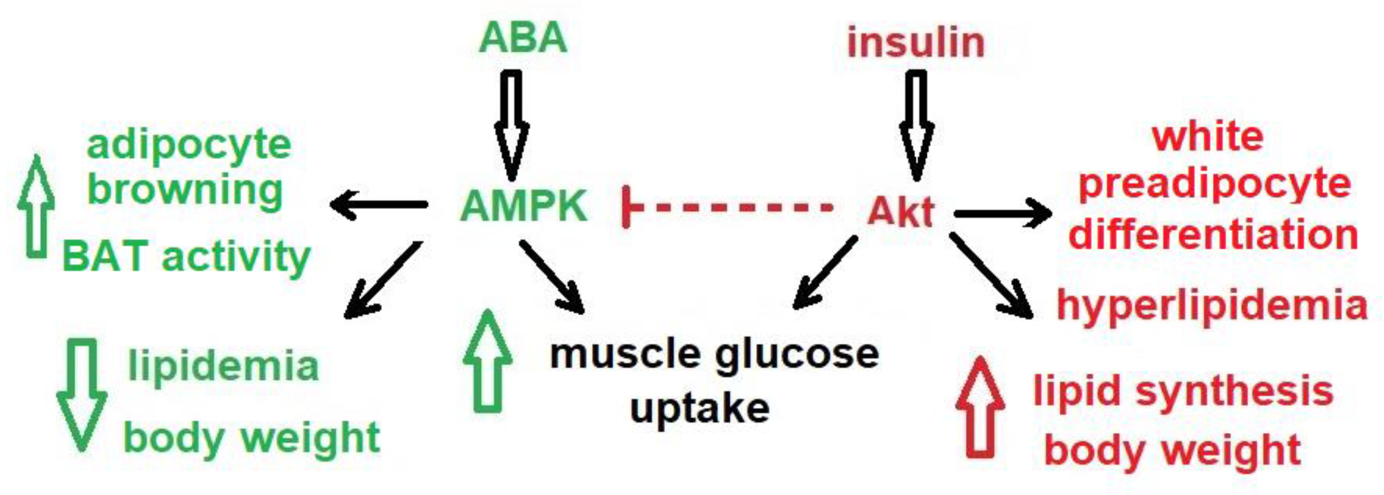 Nutrients 12 01724 g003