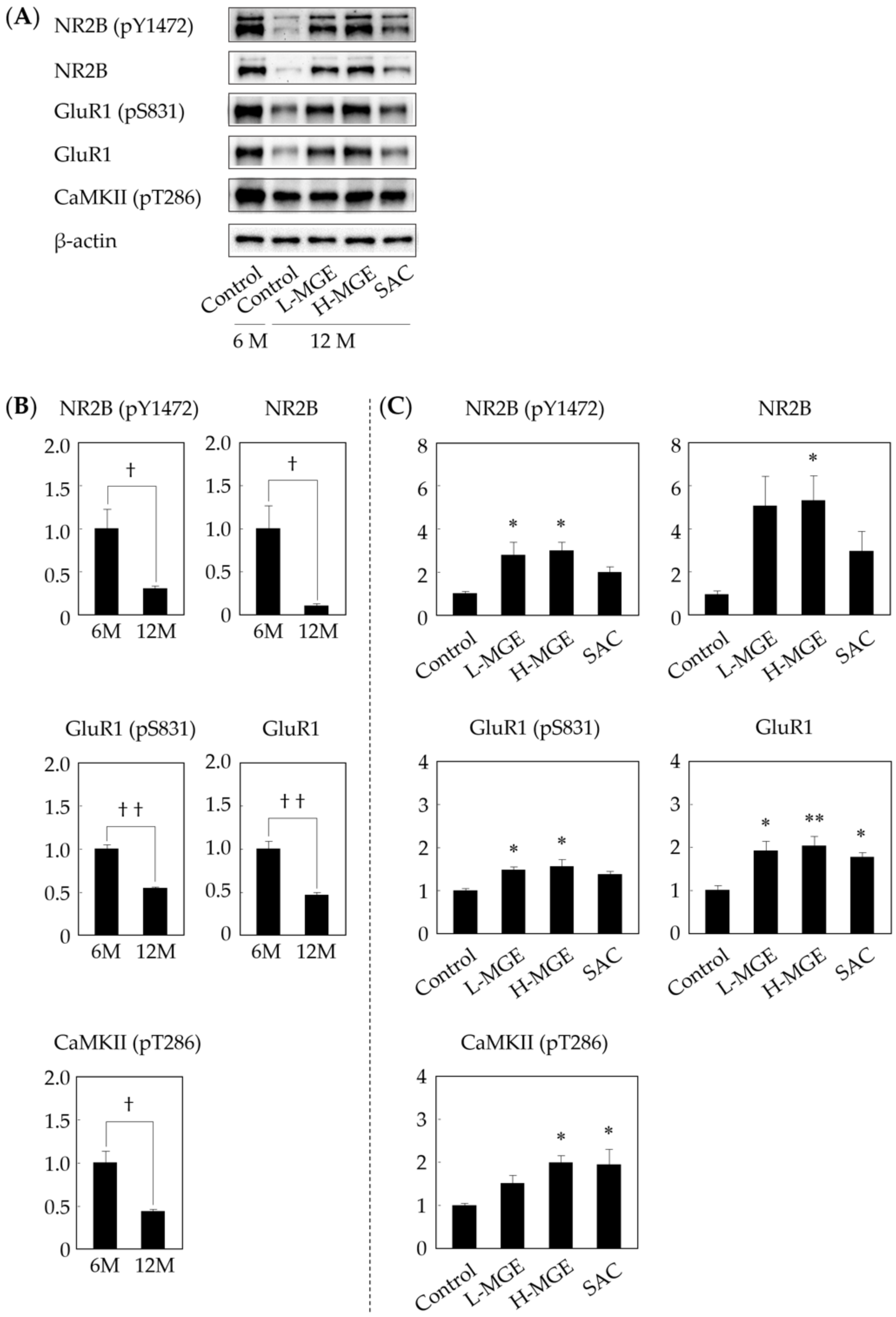 Nutrients 12 01834 g006 Nutrients 12 01834 g006