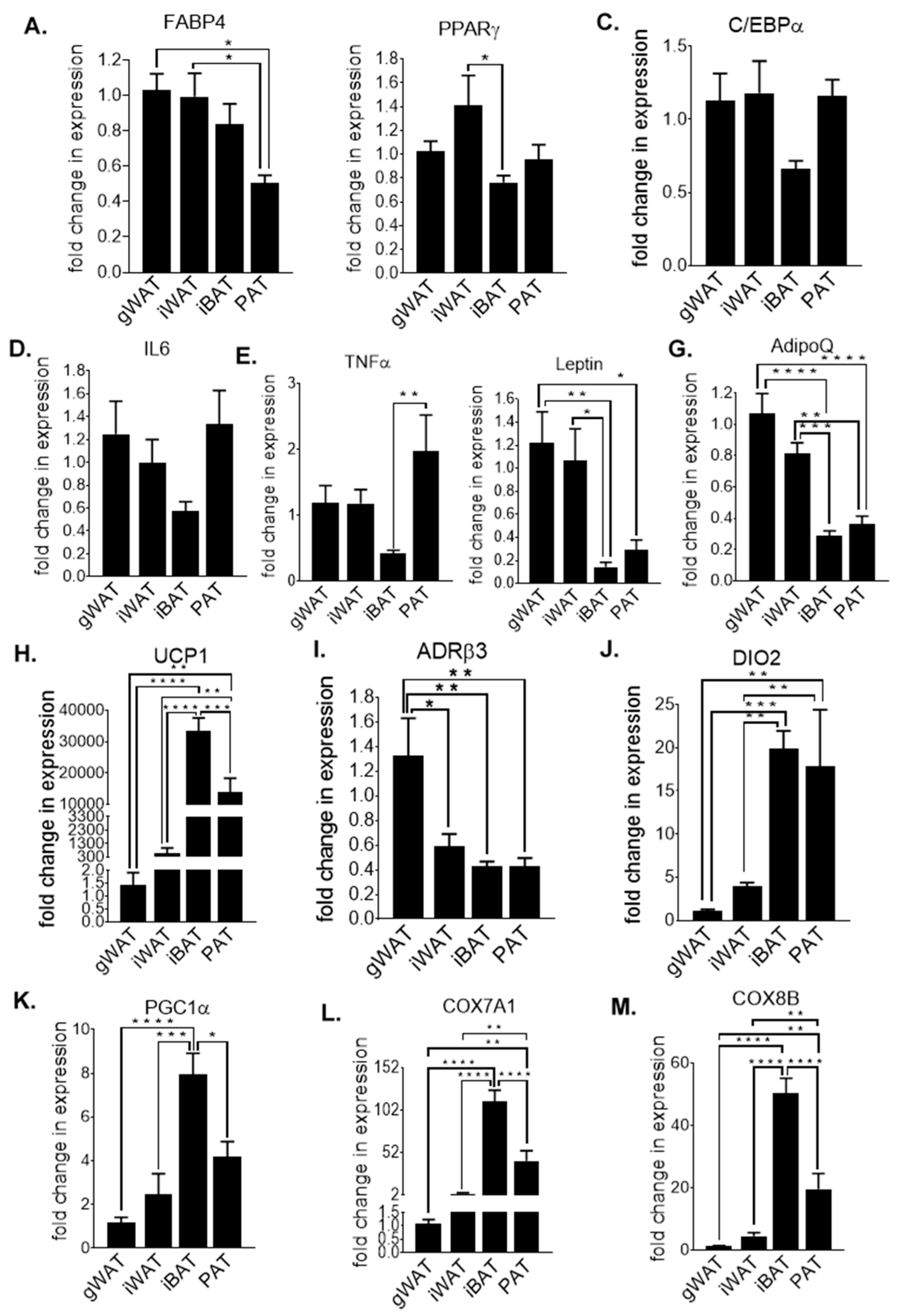 Nutrients 12 01855 g002 Nutrients 12 01855 g002