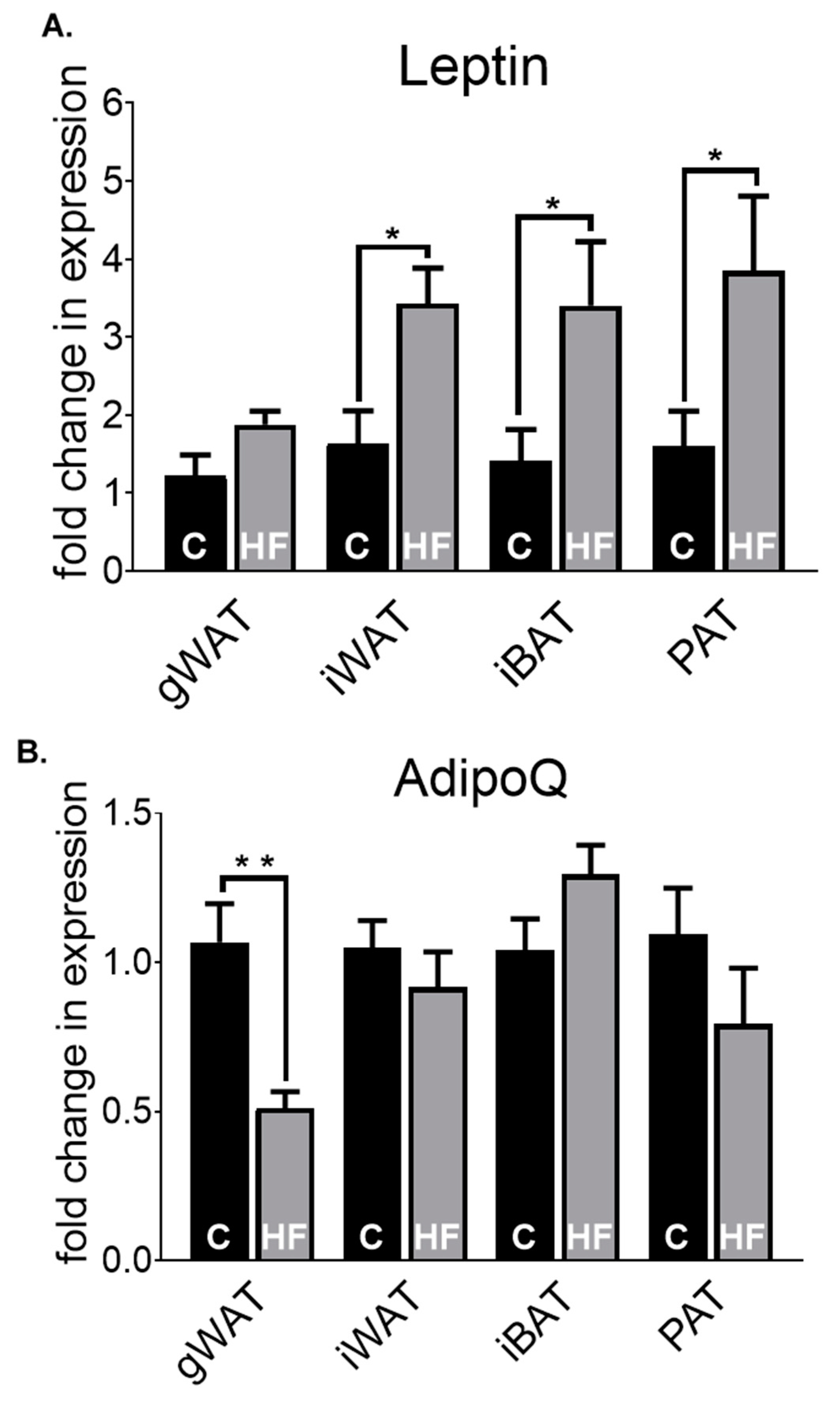 Nutrients 12 01855 g003 Nutrients 12 01855 g003