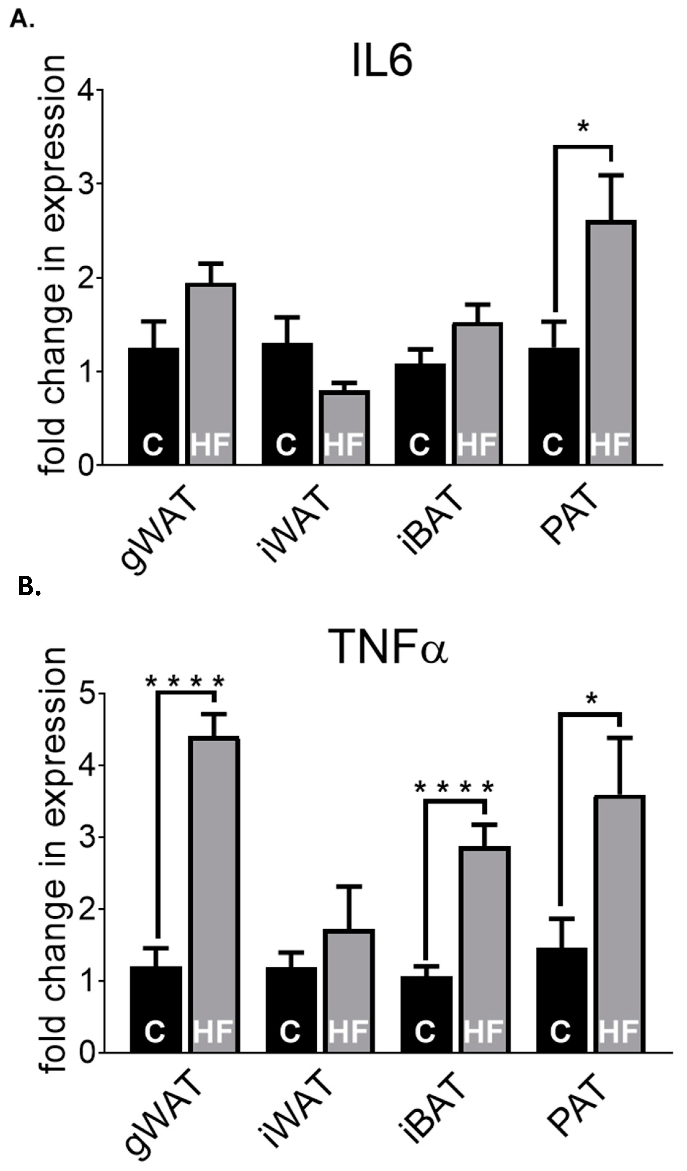Nutrients 12 01855 g004 Nutrients 12 01855 g004