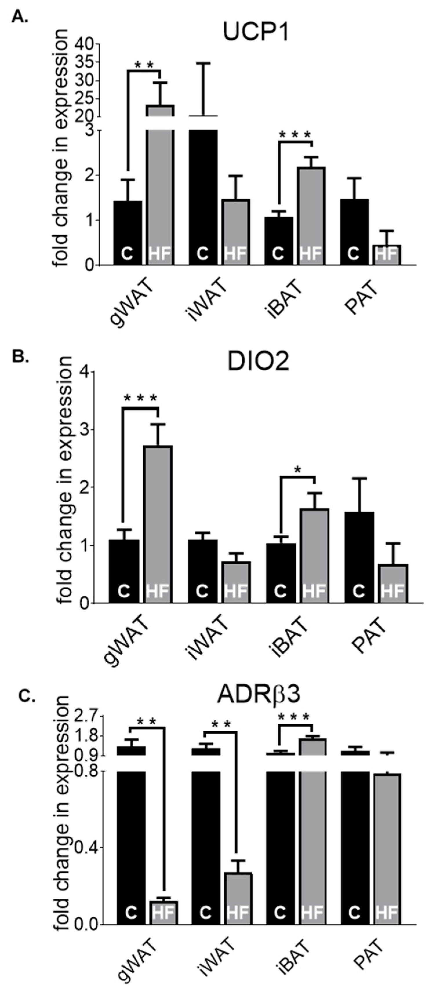 Nutrients 12 01855 g005 Nutrients 12 01855 g005