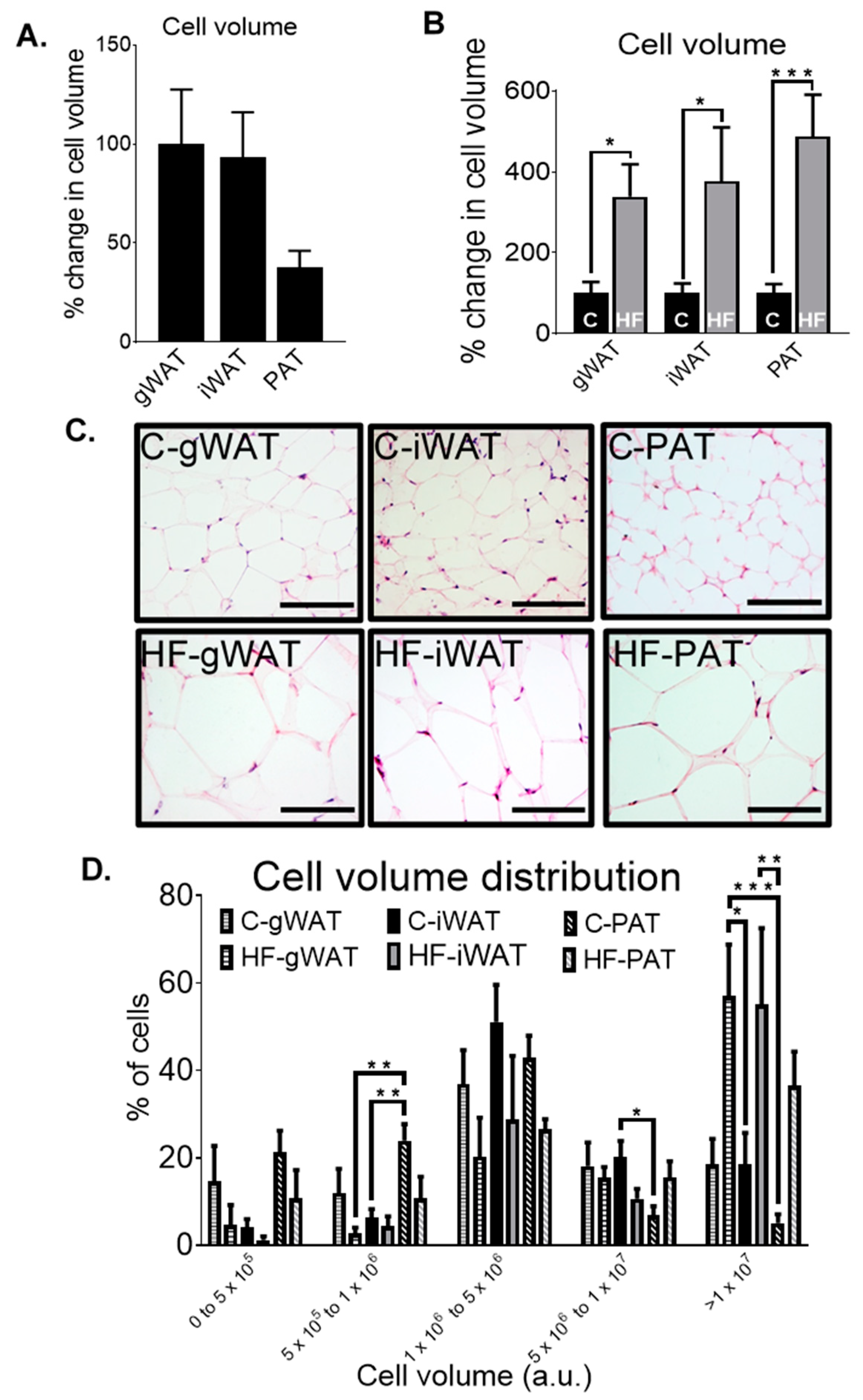 Nutrients 12 01855 g007 Nutrients 12 01855 g007
