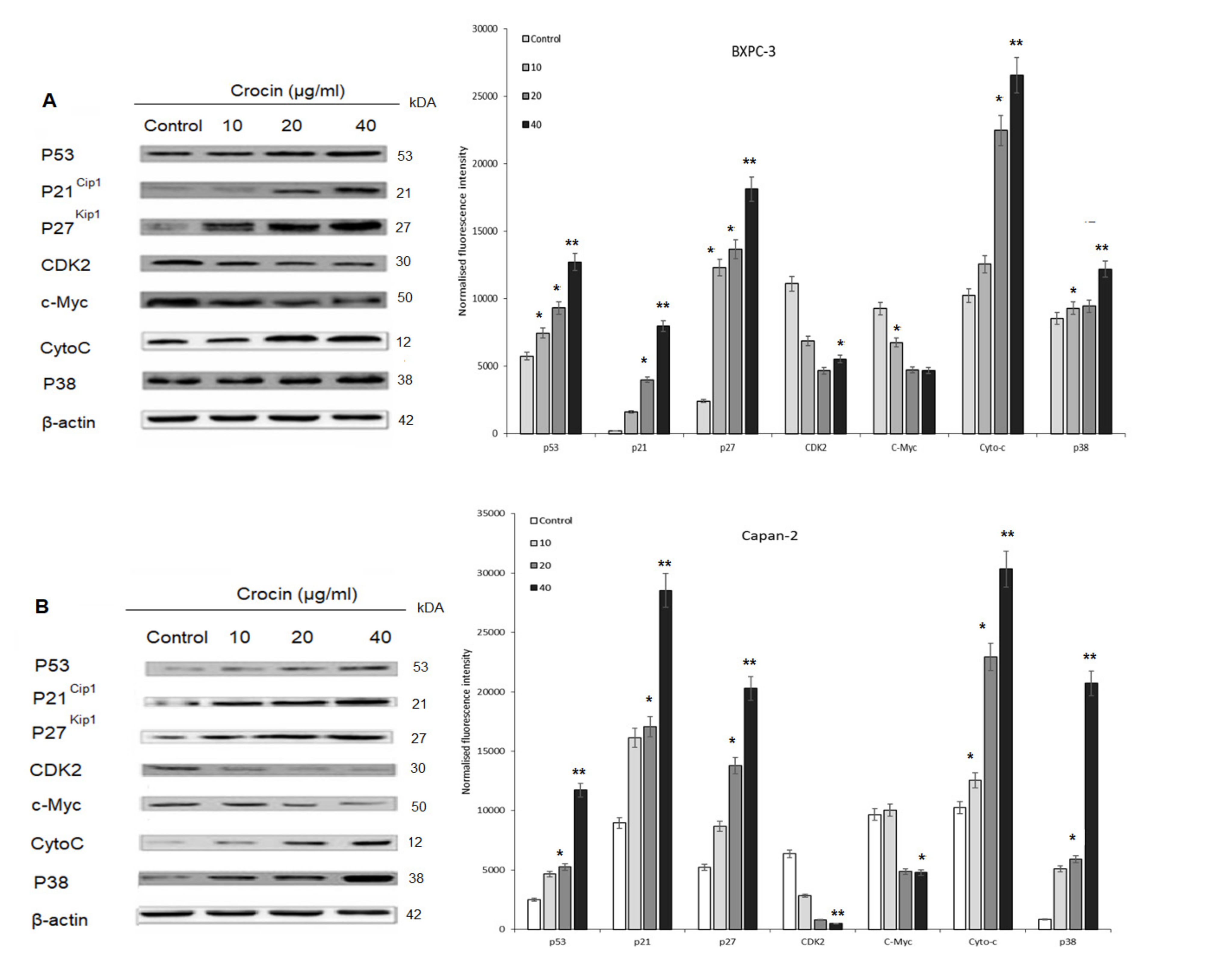 Nutrients 12 01901 g004 Nutrients 12 01901 g004