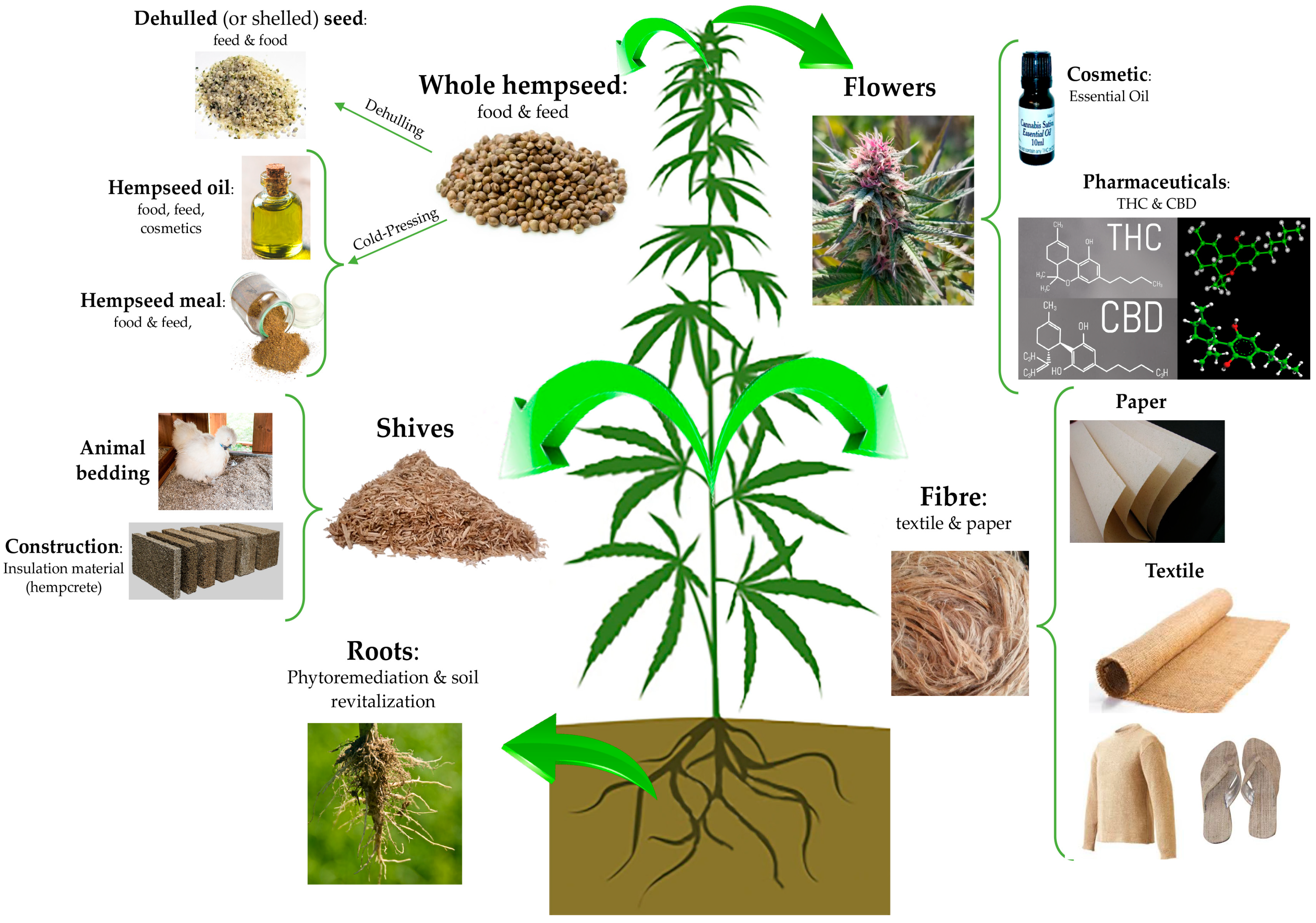 Nutrients | Free Full-Text | The Seed of Industrial Hemp (Cannabis sativa  L.): Nutritional Quality and Potential Functionality for Human Health and  Nutrition | HTML