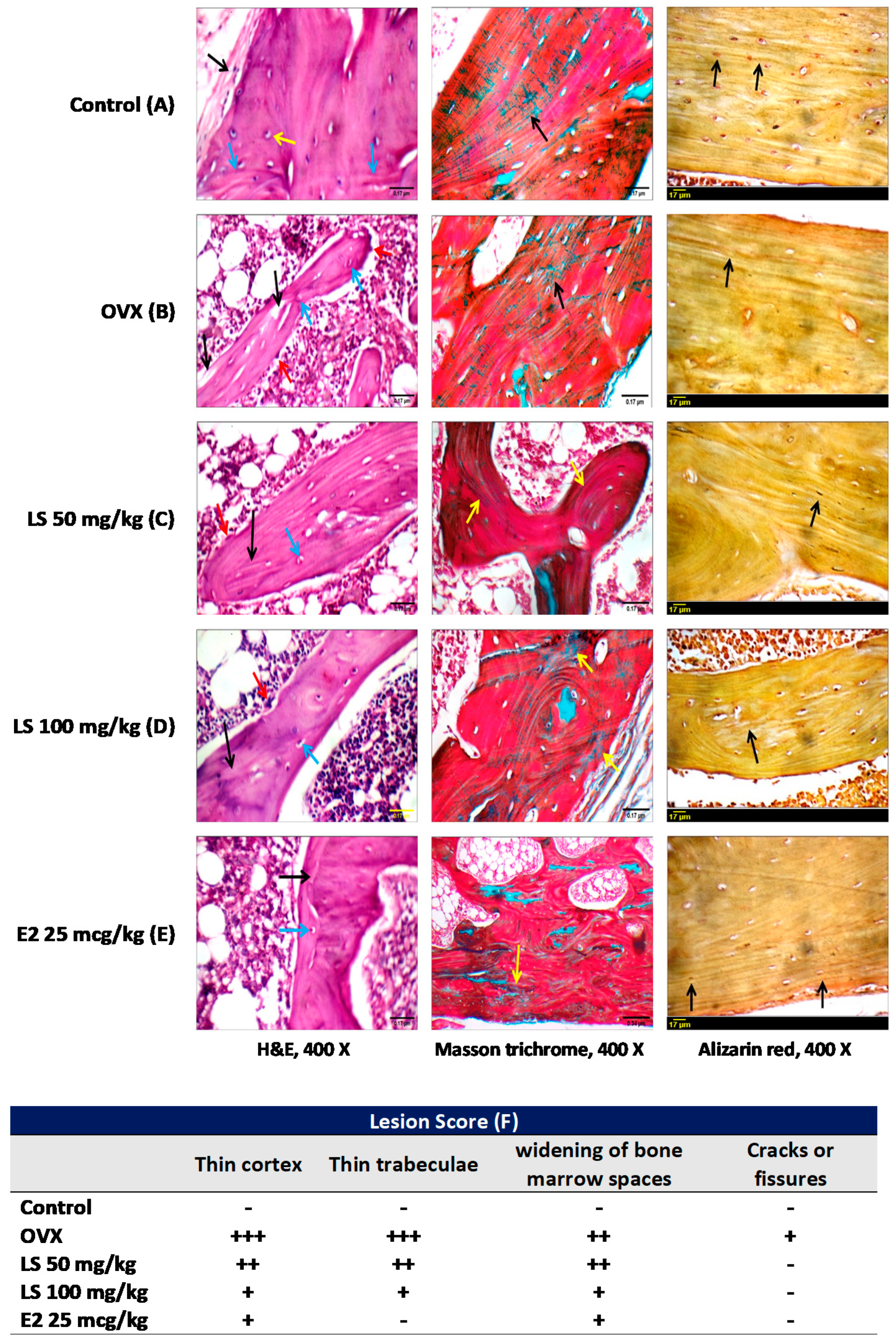 Nutrients 12 02075 g002 Nutrients 12 02075 g002