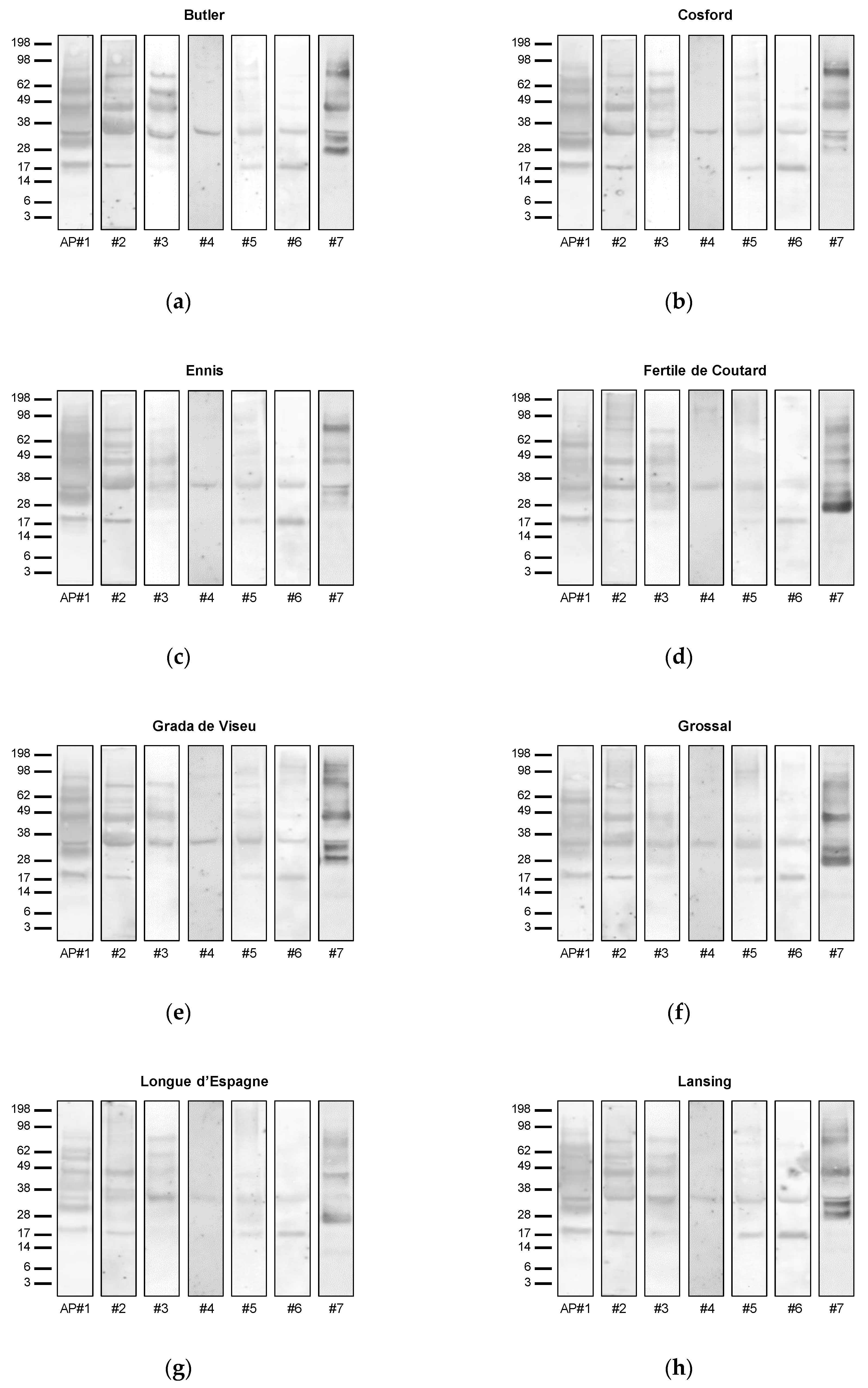 Nutrients 12 02100 g003a