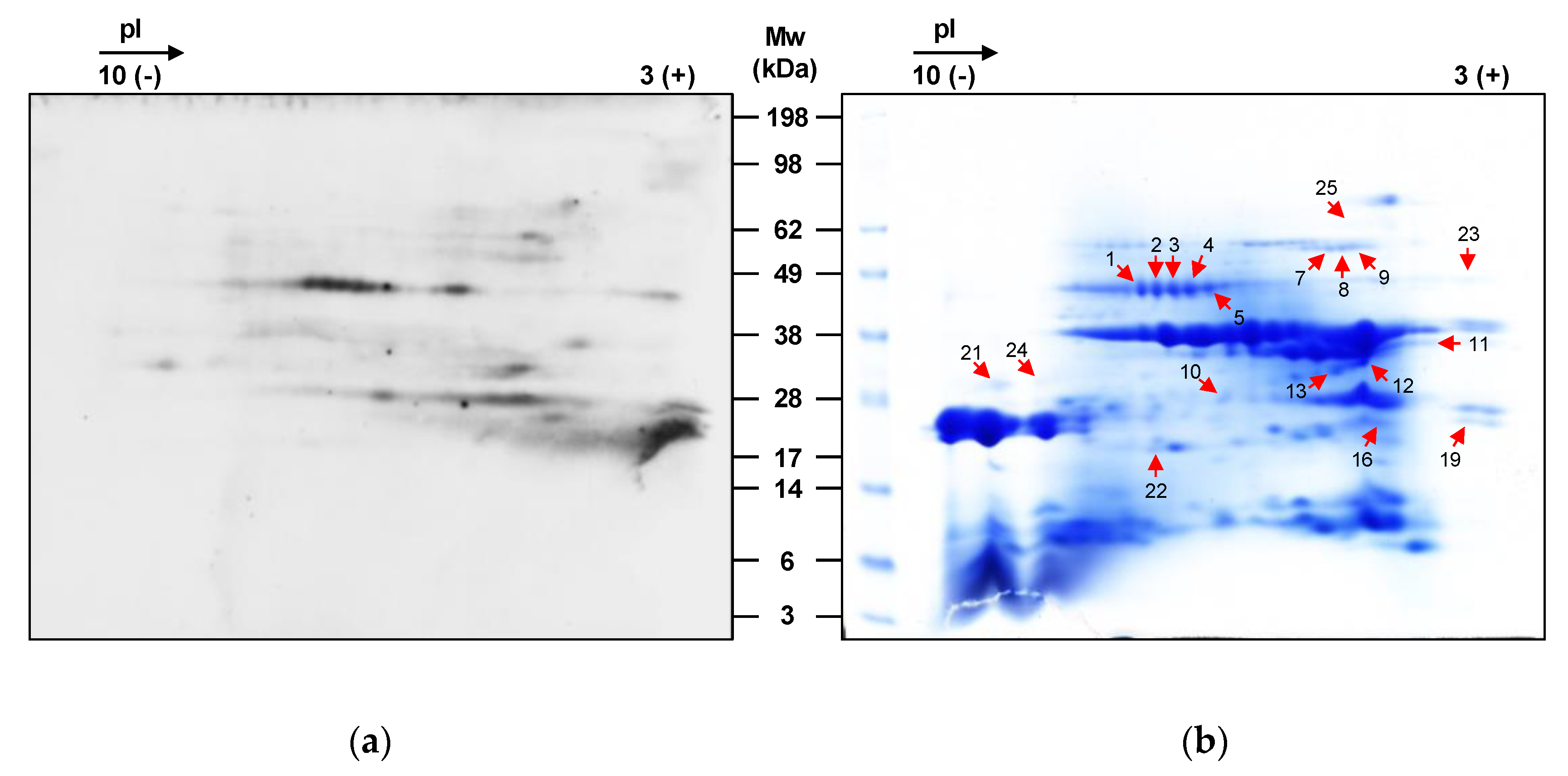 Nutrients 12 02100 g005