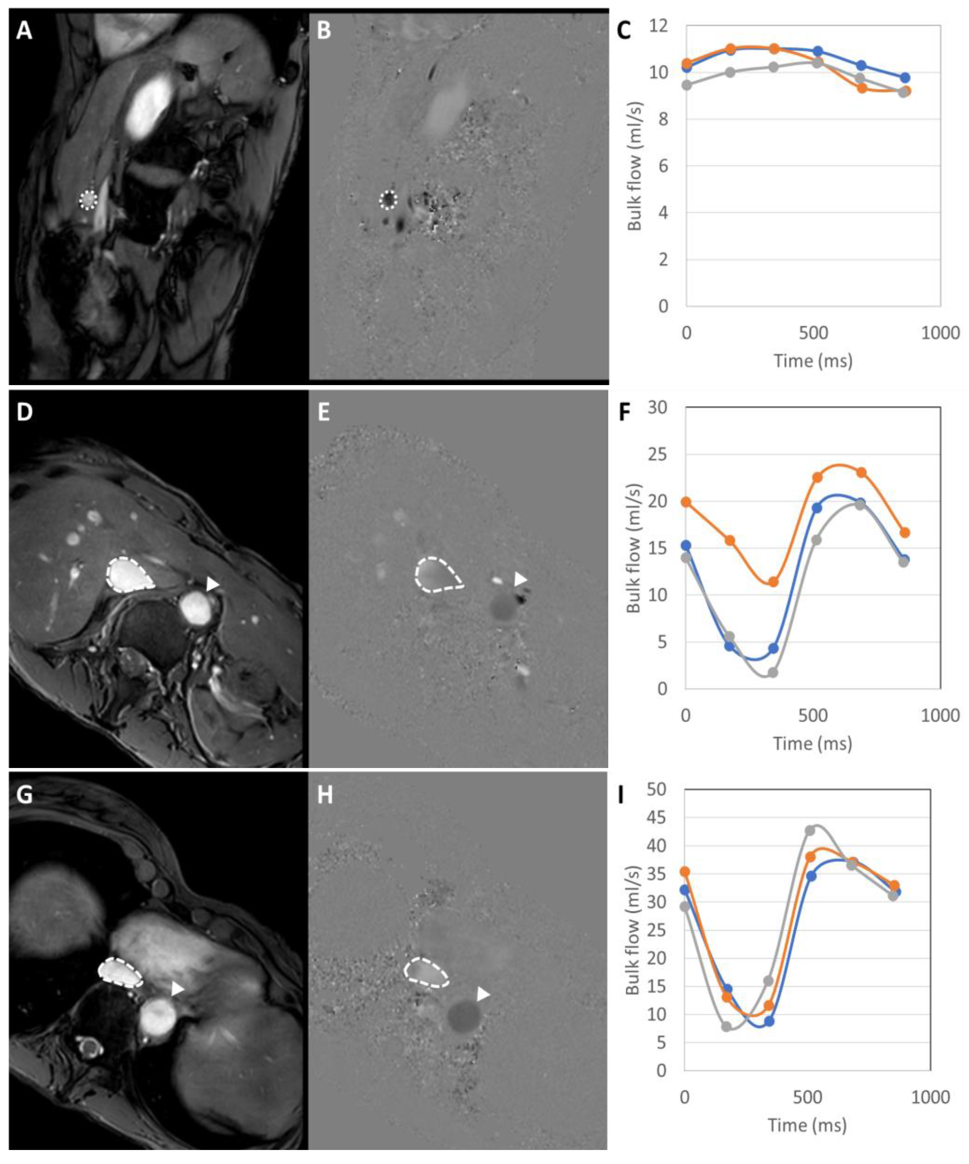 Nutrients 12 02151 g005 Nutrients 12 02151 g005