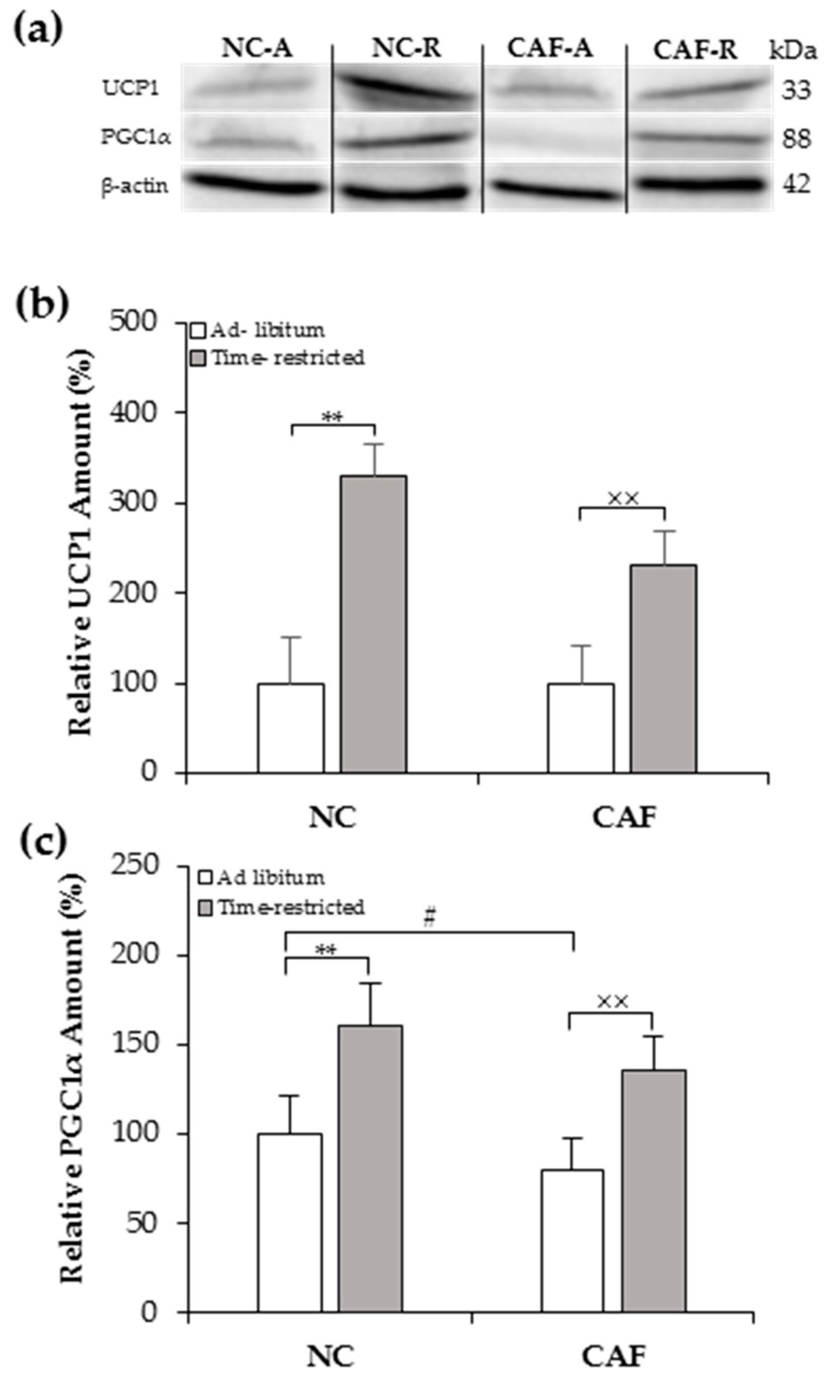 Nutrients 12 02185 g004 Nutrients 12 02185 g004