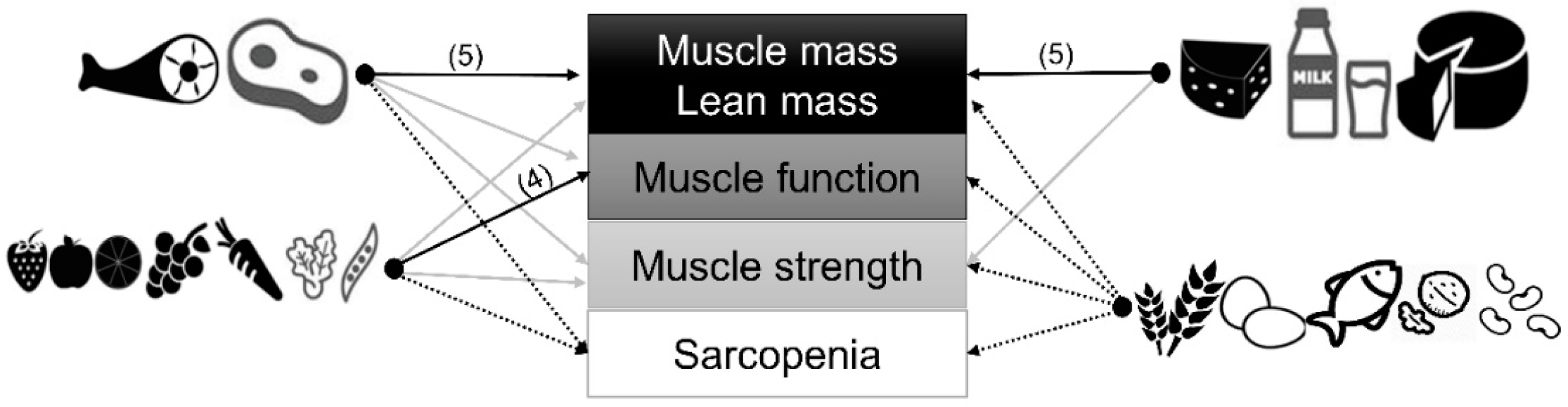 Nutrients 12 02257 g002