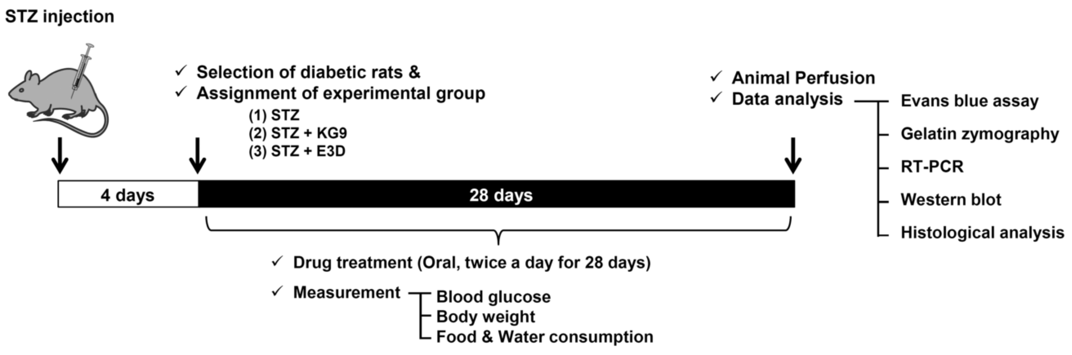 Nutrients 12 02383 g001 Nutrients 12 02383 g001
