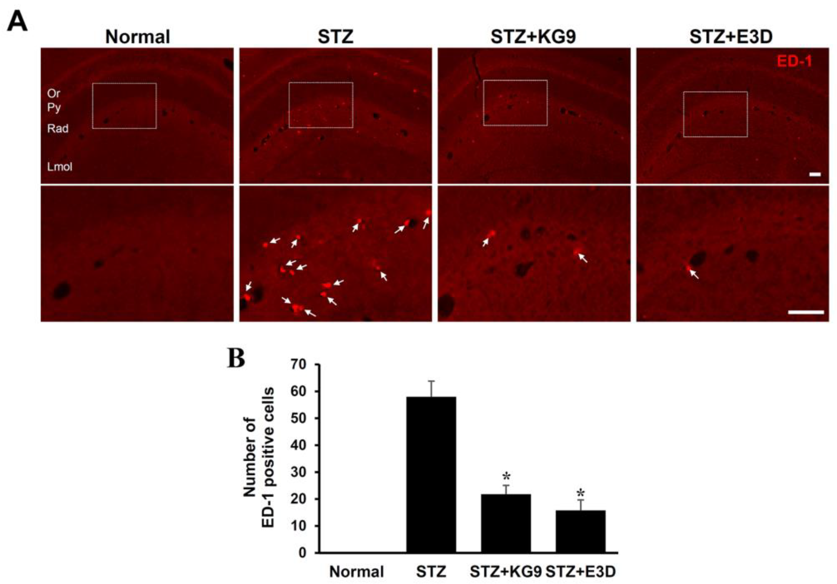 Nutrients 12 02383 g006 Nutrients 12 02383 g006